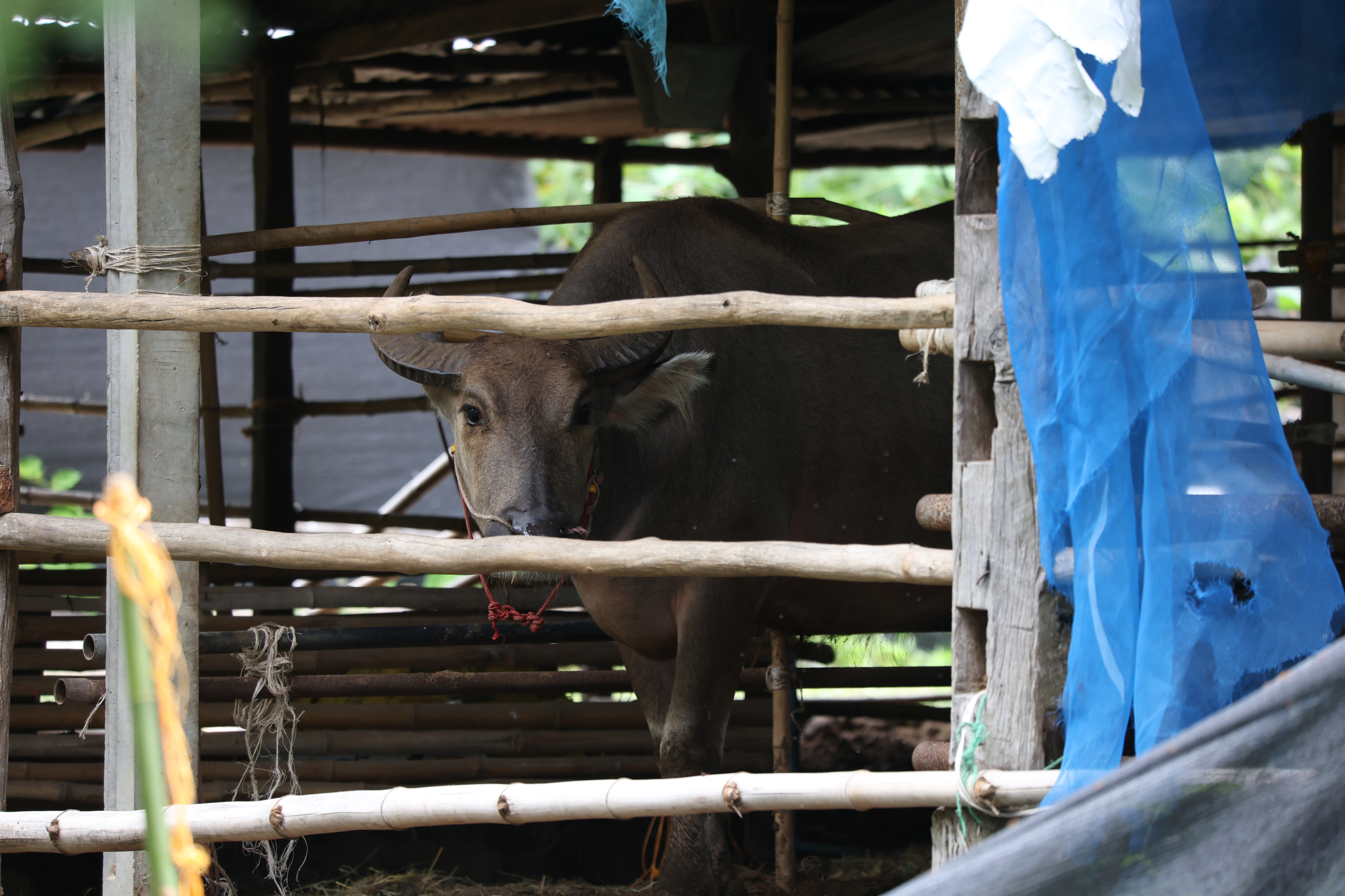 title - กพม. ติดตามต้นแบบ Smart Farmer หนองกุงใหญ่ ปธ.แปลงใหญ่นาข้าว