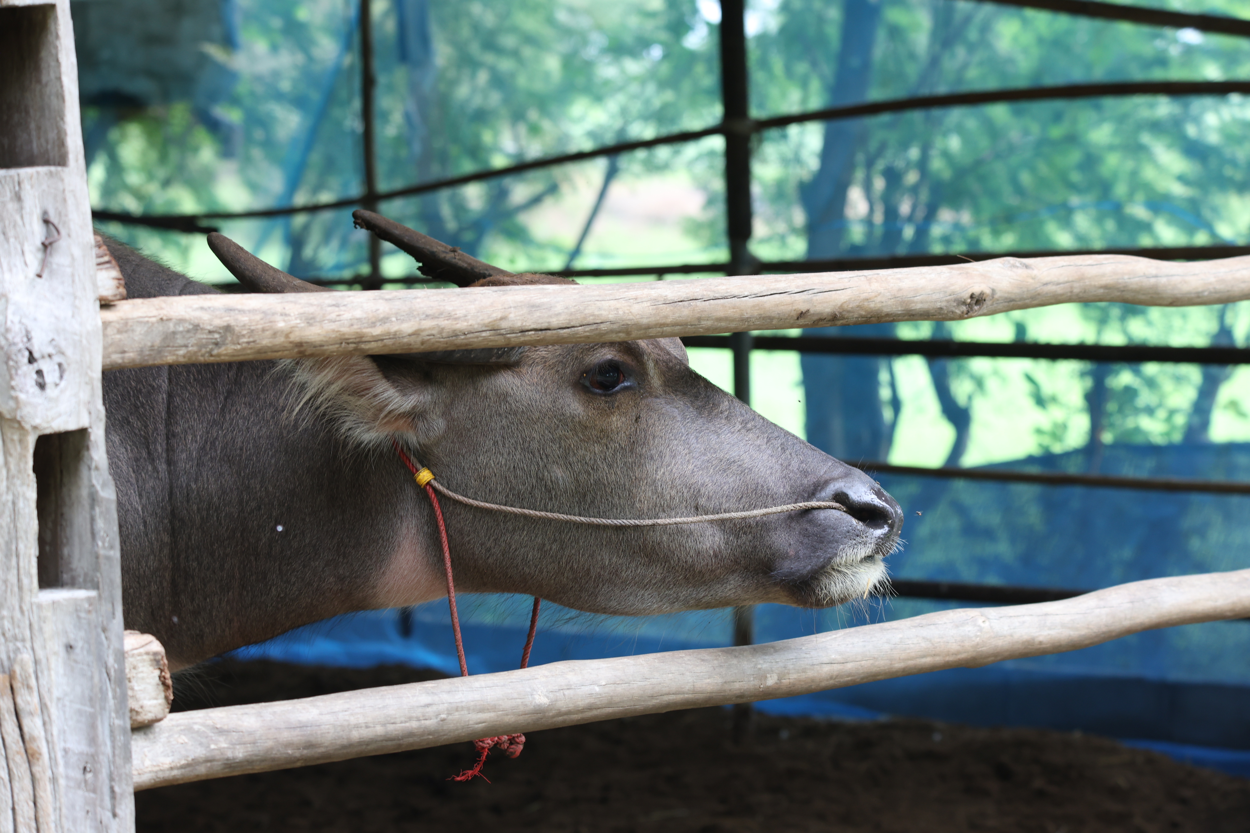 title - กพม. ติดตามต้นแบบ Smart Farmer หนองกุงใหญ่ ปธ.แปลงใหญ่นาข้าว