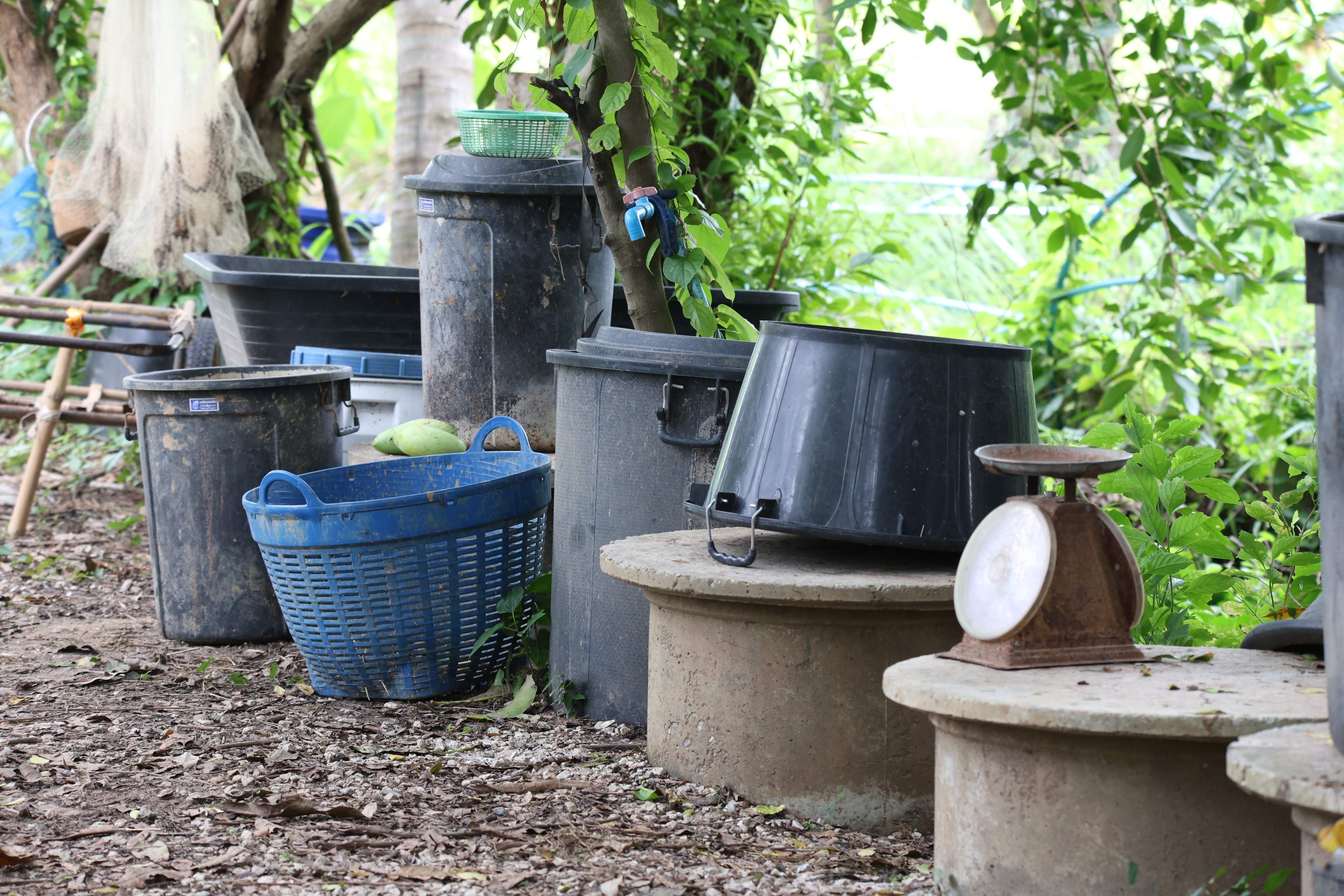 title - กพม. ติดตามต้นแบบ Smart Farmer หนองกุงใหญ่ ปธ.แปลงใหญ่นาข้าว