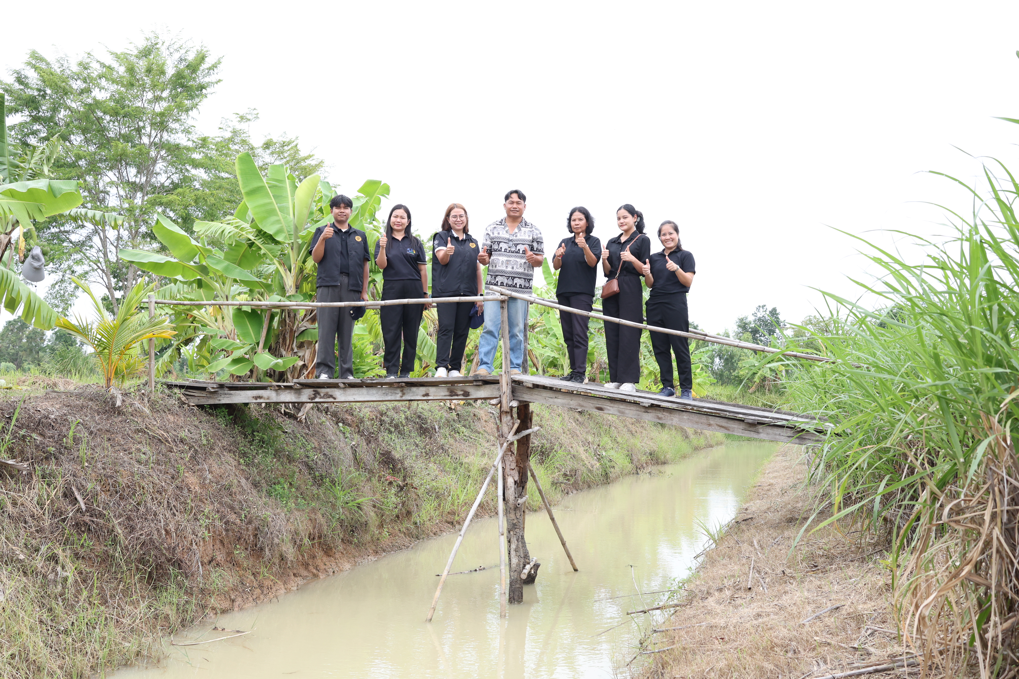 title - กพม. ติดตามต้นแบบ Smart Farmer หนองกุงใหญ่ ปธ.แปลงใหญ่นาข้าว