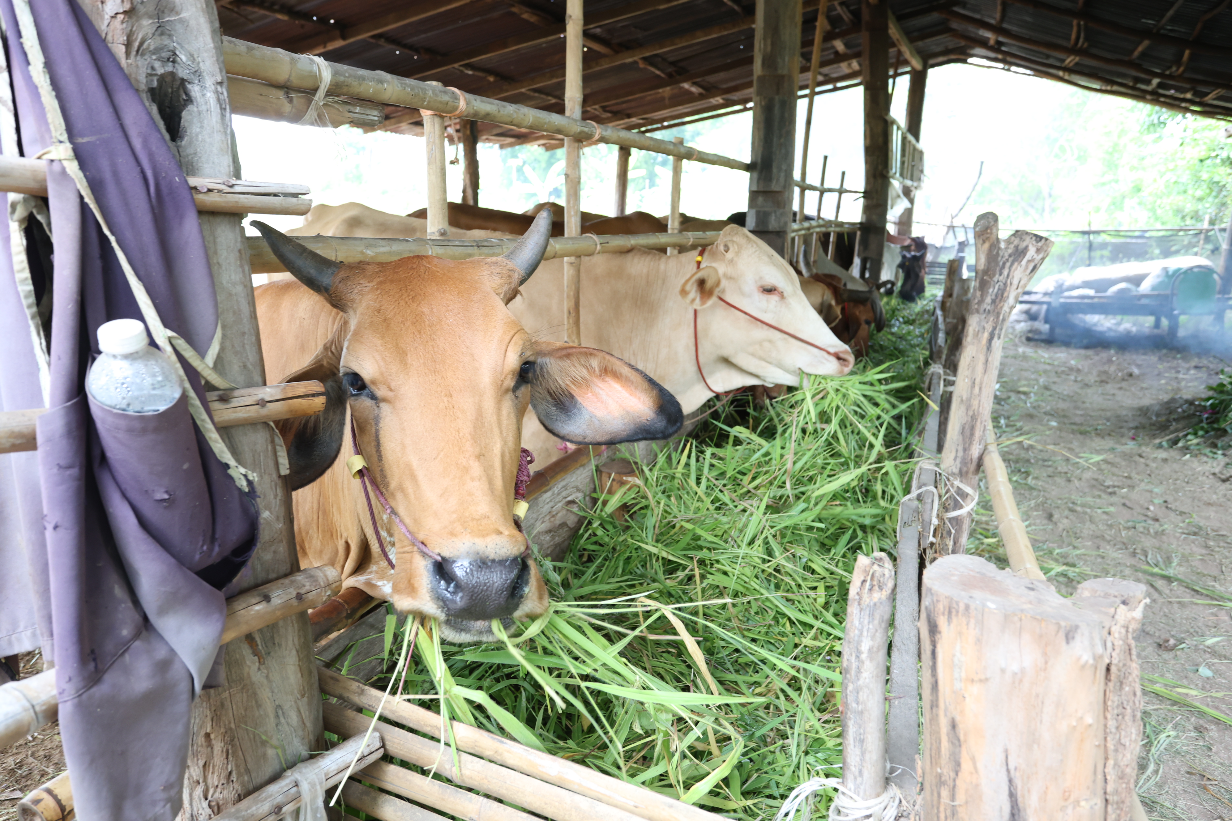 title - กพม. ติดตามต้นแบบ Smart Farmer หนองกุงใหญ่ ปธ.แปลงใหญ่นาข้าว