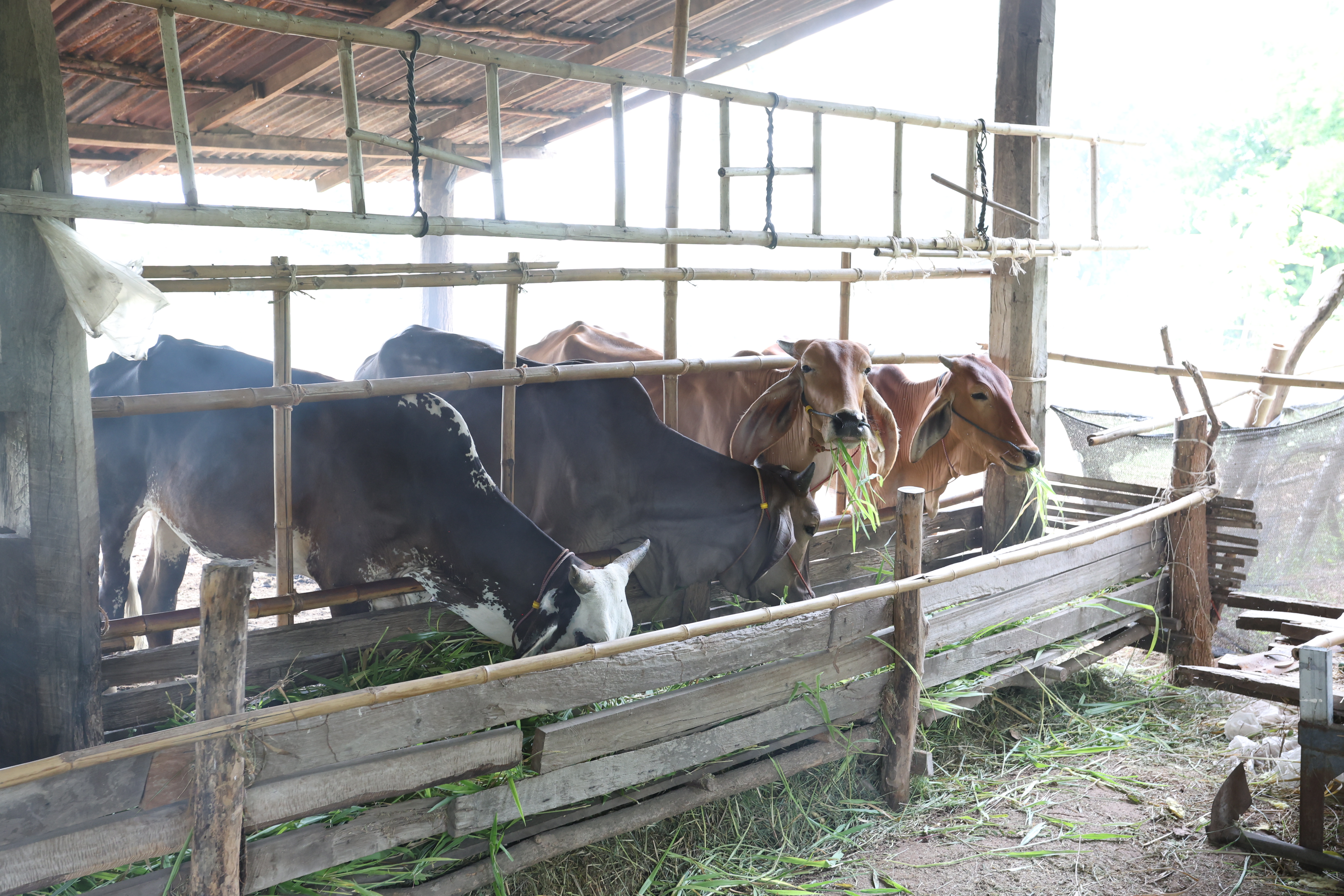 title - กพม. ติดตามต้นแบบ Smart Farmer หนองกุงใหญ่ ปธ.แปลงใหญ่นาข้าว
