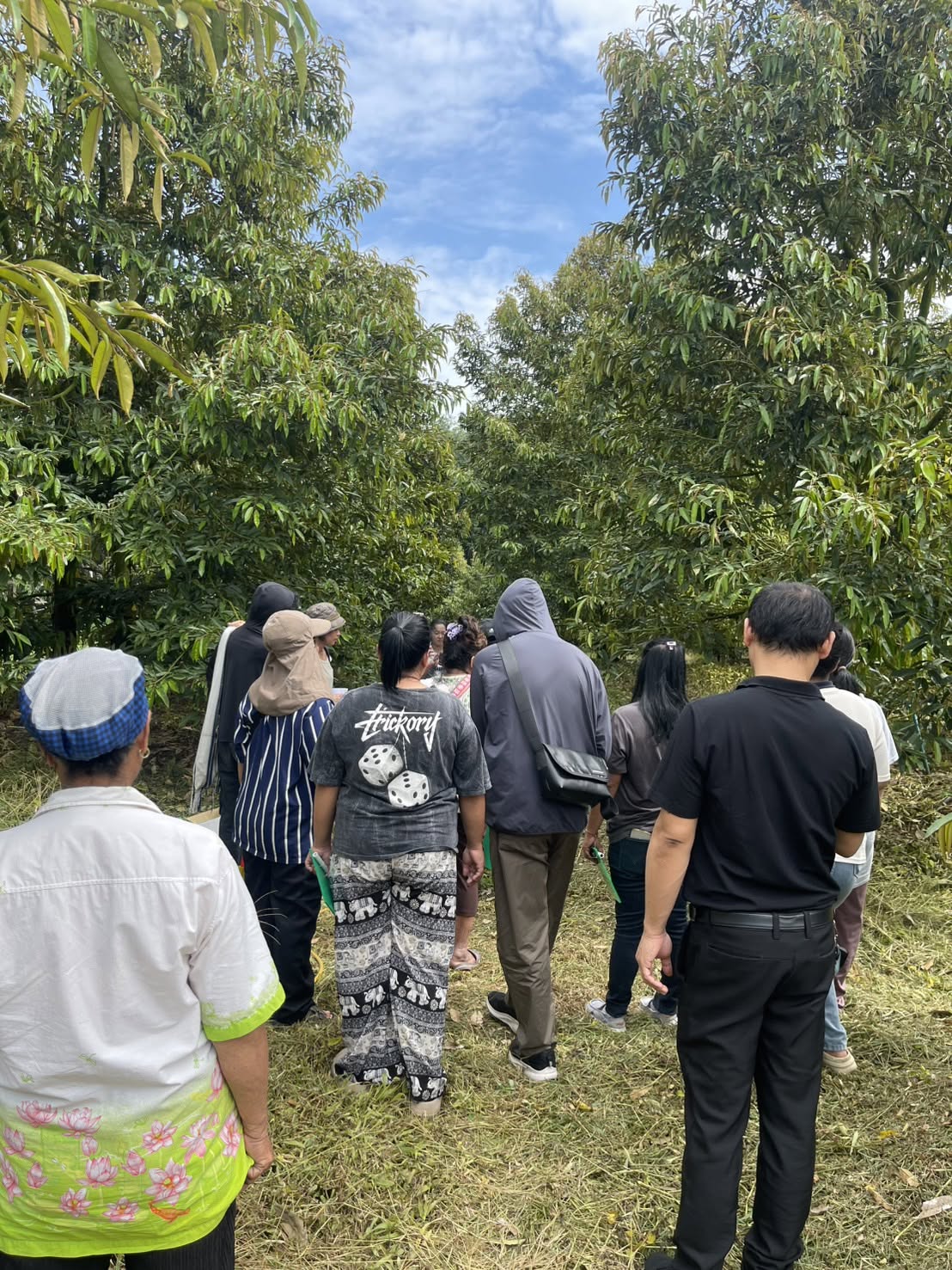 title - ส.ป.ก. ลงพื้นที่อำเภอบ่อทอง จังหวัดชลบุรี เพื่อเสริมทักษะเกษตรกรจัดเก็บข้อมูลต้นไม้