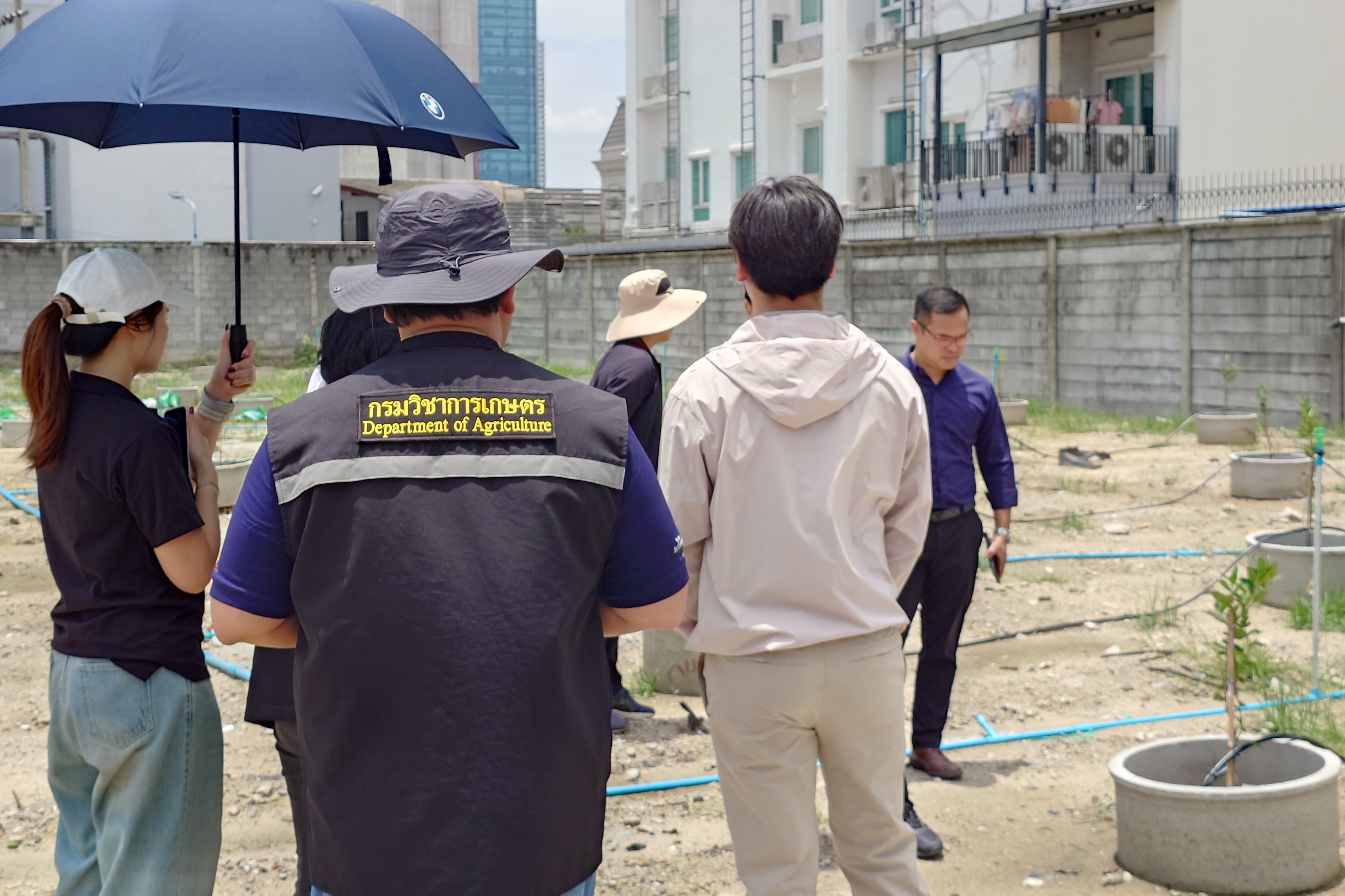 title - สพท. ร่วมคณะทำงานกระทรวงเกษตรฯ ลุยตรวจแปลงทดสอบนวัตกรรมเกษตรเขตเมือง นำร่องกรุงเทพมหานคร