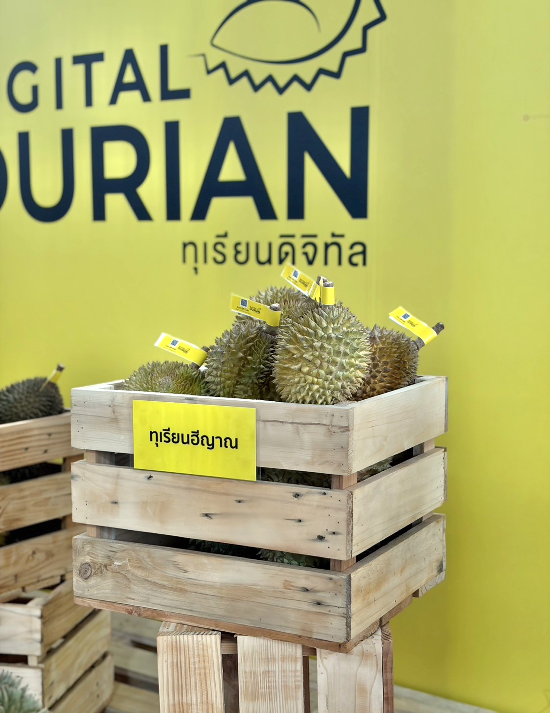 title - สพท. ร่วมงาน Digital Durian Market จากสวนสู่ชั้นวาง และตลาดนัดทุเรียนคุณภาพ
