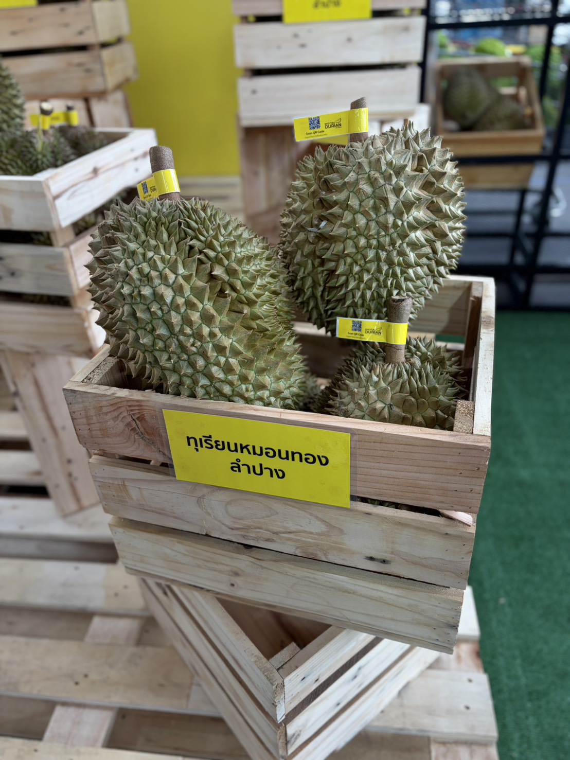 title - สพท. ร่วมงาน Digital Durian Market จากสวนสู่ชั้นวาง และตลาดนัดทุเรียนคุณภาพ