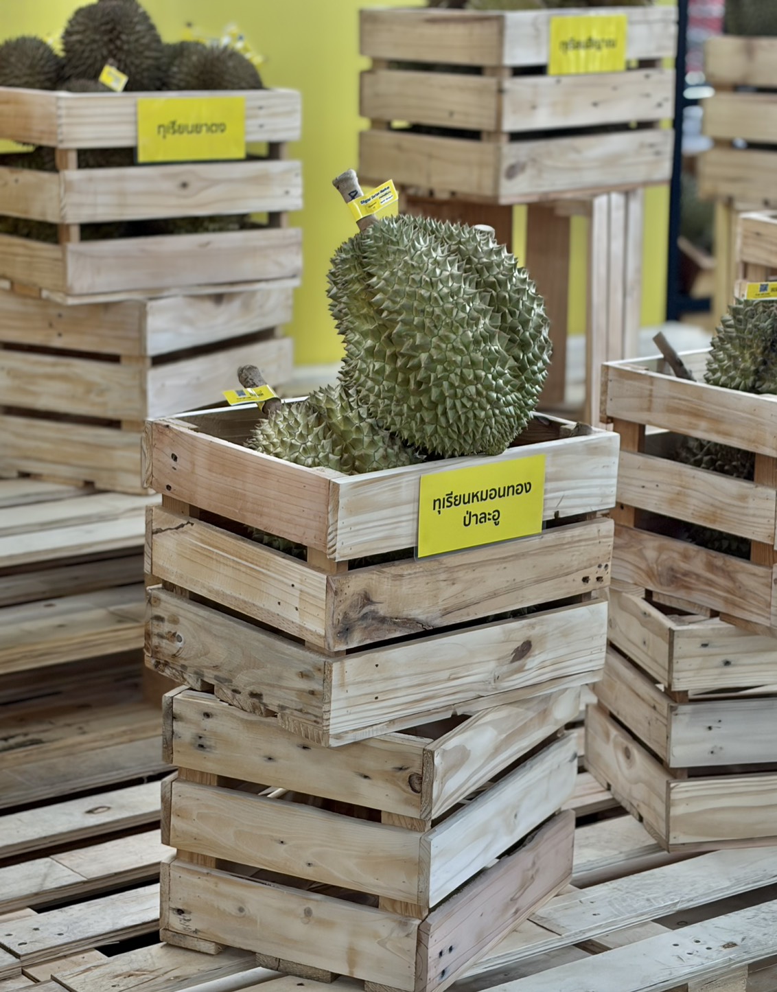 title - สพท. ร่วมงาน Digital Durian Market จากสวนสู่ชั้นวาง และตลาดนัดทุเรียนคุณภาพ