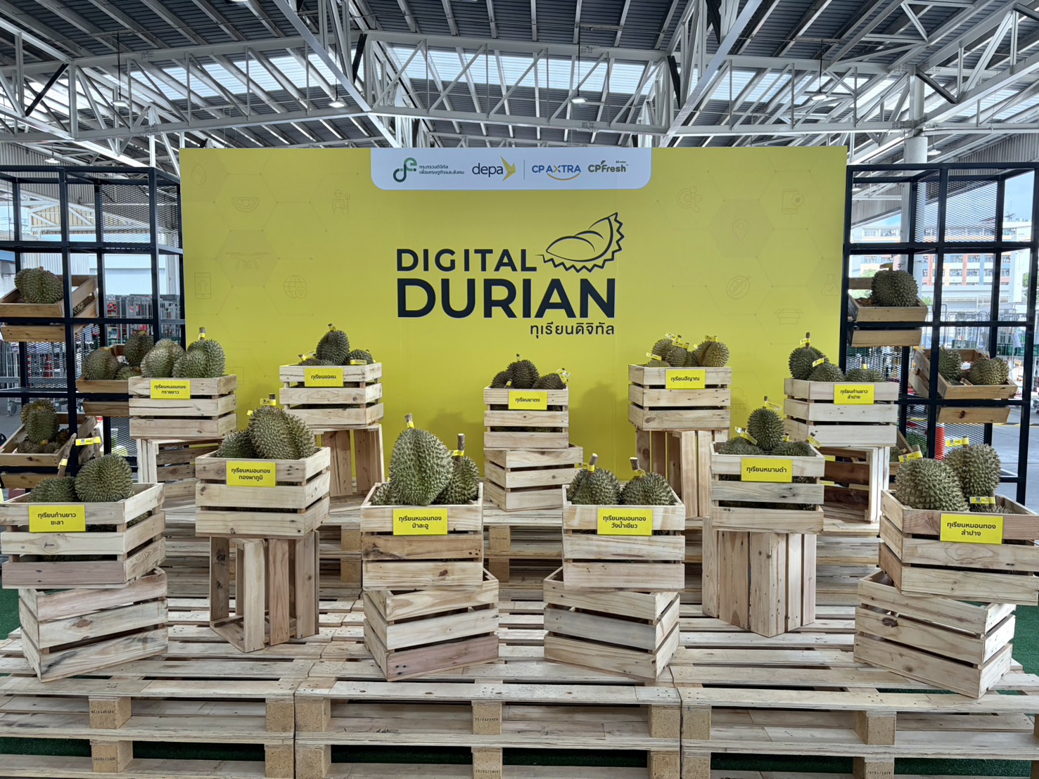title - สพท. ร่วมงาน Digital Durian Market จากสวนสู่ชั้นวาง และตลาดนัดทุเรียนคุณภาพ