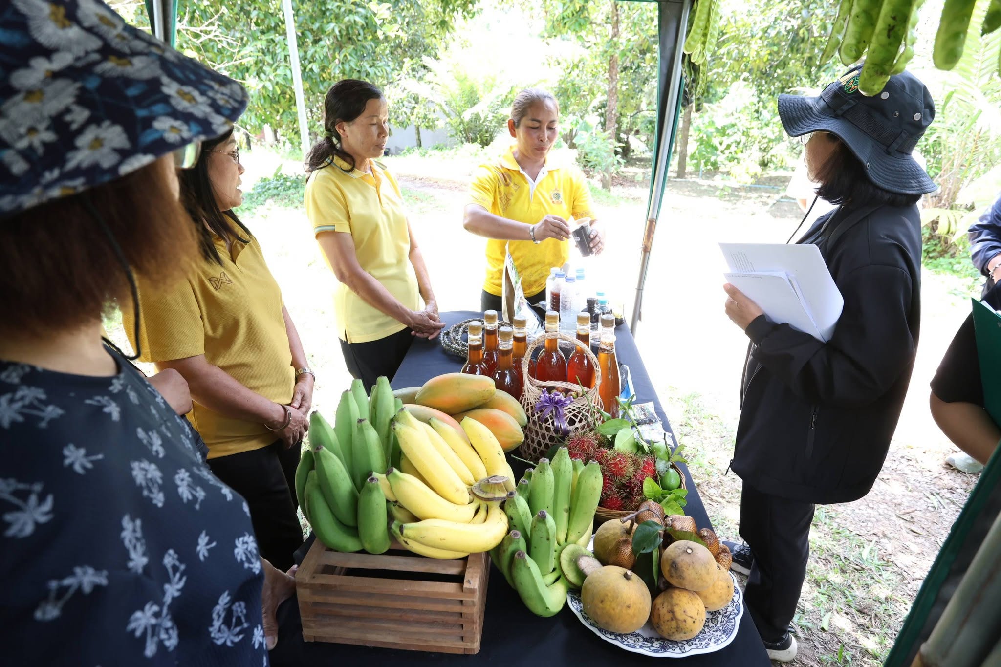 title - กพม. ลุยพัทลุง ถอดบทเรียน Smart Farmer ต้นแบบ อ.ควนขนุน มุ่งลดต้นทุน เพิ่มรายได้หมุนเวียนอย่างยั่งยืน