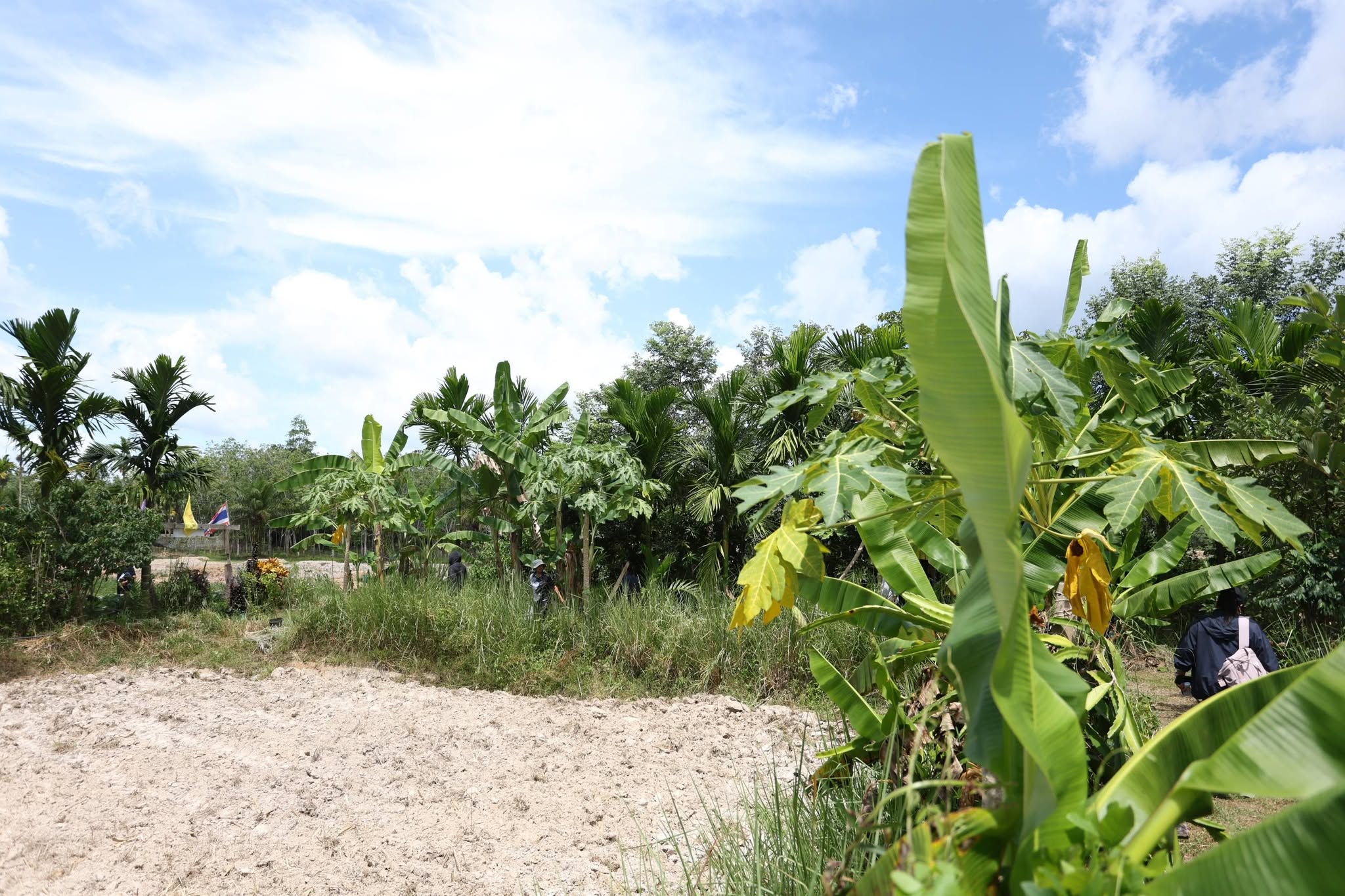 title - กพม. ลุยพัทลุง ถอดบทเรียน Smart Farmer ต้นแบบ อ.ควนขนุน มุ่งลดต้นทุน เพิ่มรายได้หมุนเวียนอย่างยั่งยืน