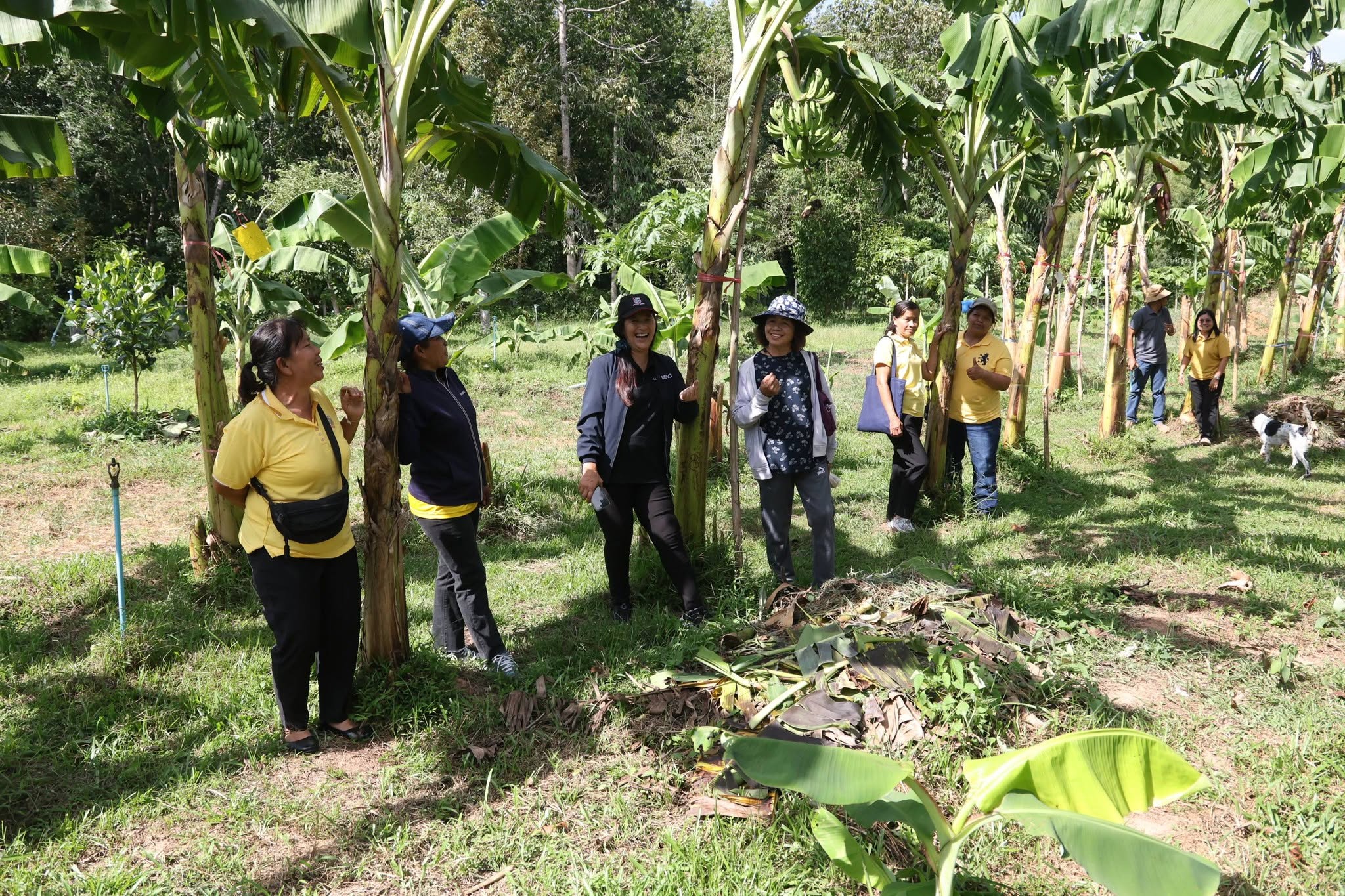 title - กพม. ลุยพัทลุง ถอดบทเรียน Smart Farmer ต้นแบบ อ.ควนขนุน มุ่งลดต้นทุน เพิ่มรายได้หมุนเวียนอย่างยั่งยืน