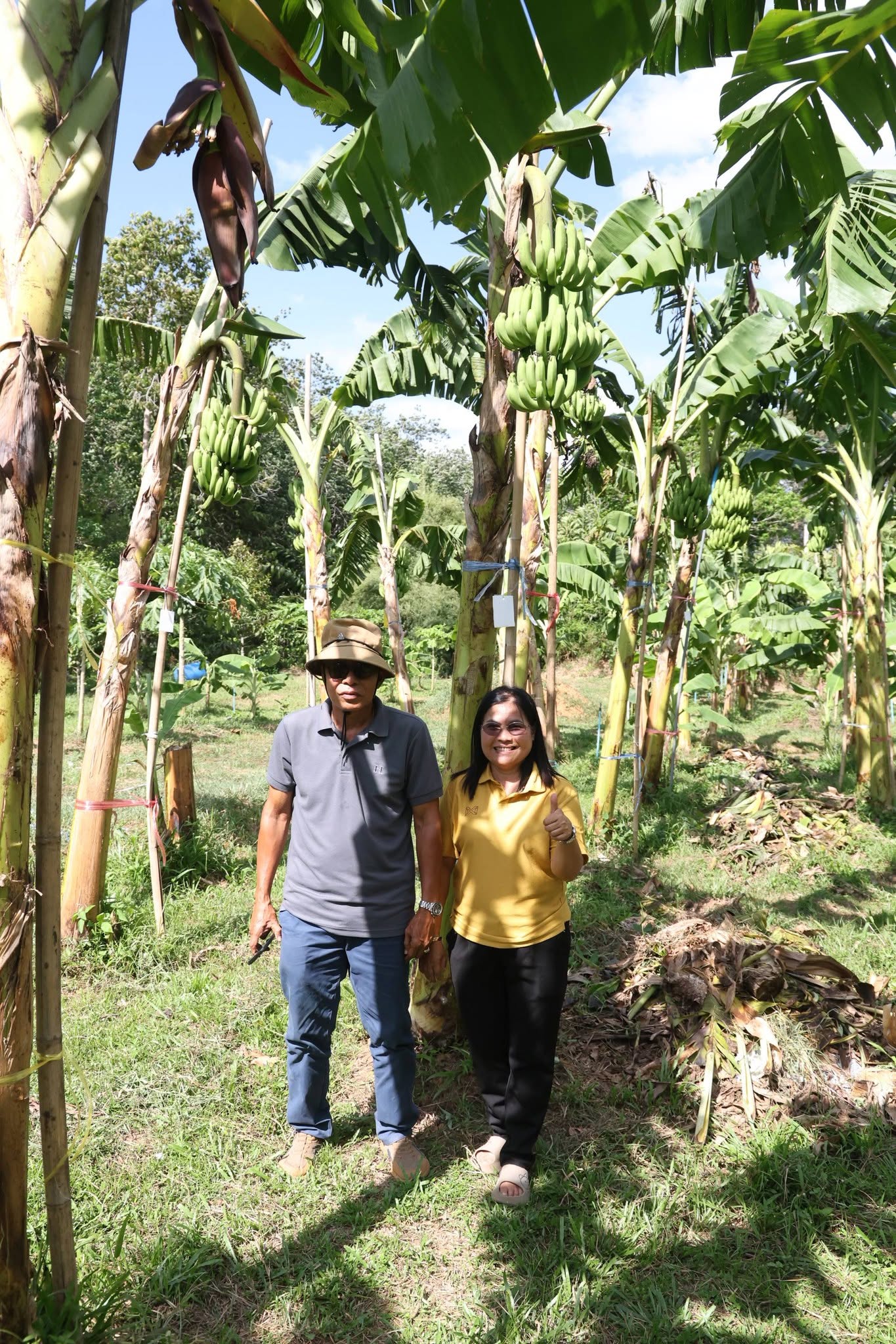 title - กพม. ลุยพัทลุง ถอดบทเรียน Smart Farmer ต้นแบบ อ.ควนขนุน มุ่งลดต้นทุน เพิ่มรายได้หมุนเวียนอย่างยั่งยืน