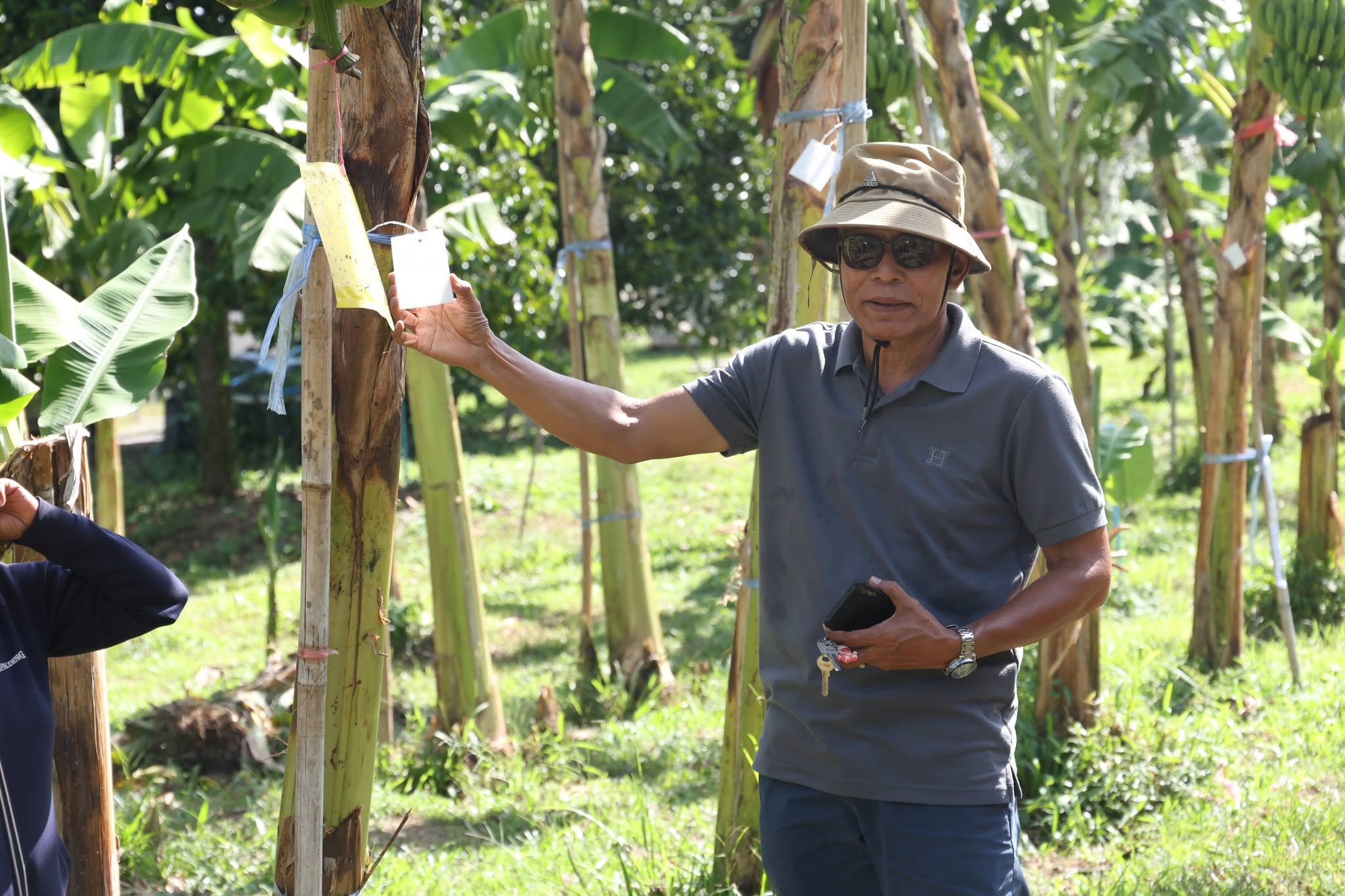 title - กพม. ลุยพัทลุง ถอดบทเรียน Smart Farmer ต้นแบบ อ.ควนขนุน มุ่งลดต้นทุน เพิ่มรายได้หมุนเวียนอย่างยั่งยืน
