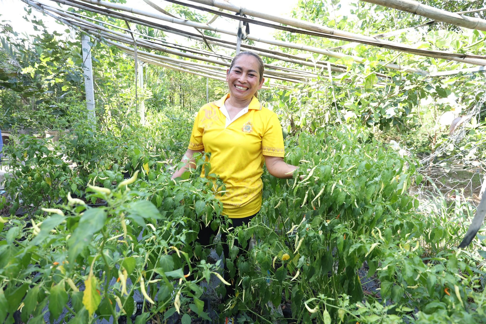 title - กพม. ลุยพัทลุง ถอดบทเรียน Smart Farmer ต้นแบบ อ.ควนขนุน มุ่งลดต้นทุน เพิ่มรายได้หมุนเวียนอย่างยั่งยืน