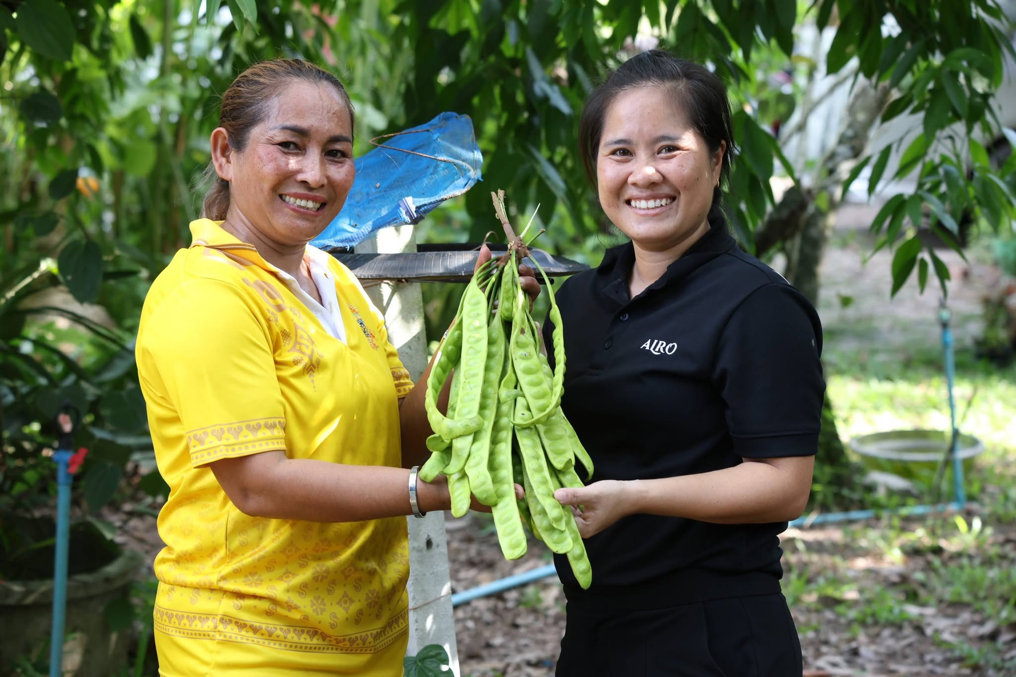 title - กพม. ลุยพัทลุง ถอดบทเรียน Smart Farmer ต้นแบบ อ.ควนขนุน มุ่งลดต้นทุน เพิ่มรายได้หมุนเวียนอย่างยั่งยืน