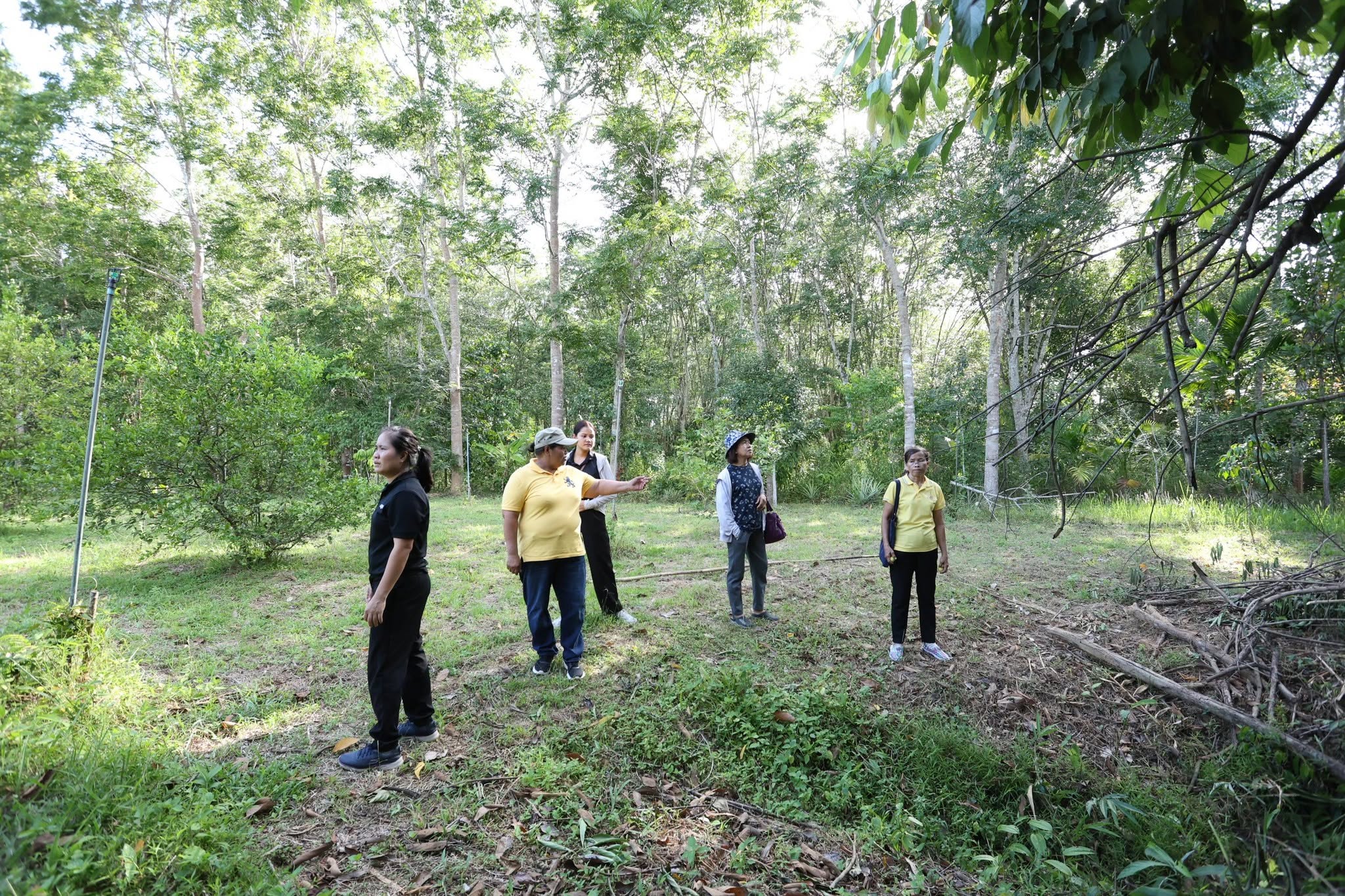 title - กพม. ลุยพัทลุง ถอดบทเรียน Smart Farmer ต้นแบบ อ.ควนขนุน มุ่งลดต้นทุน เพิ่มรายได้หมุนเวียนอย่างยั่งยืน