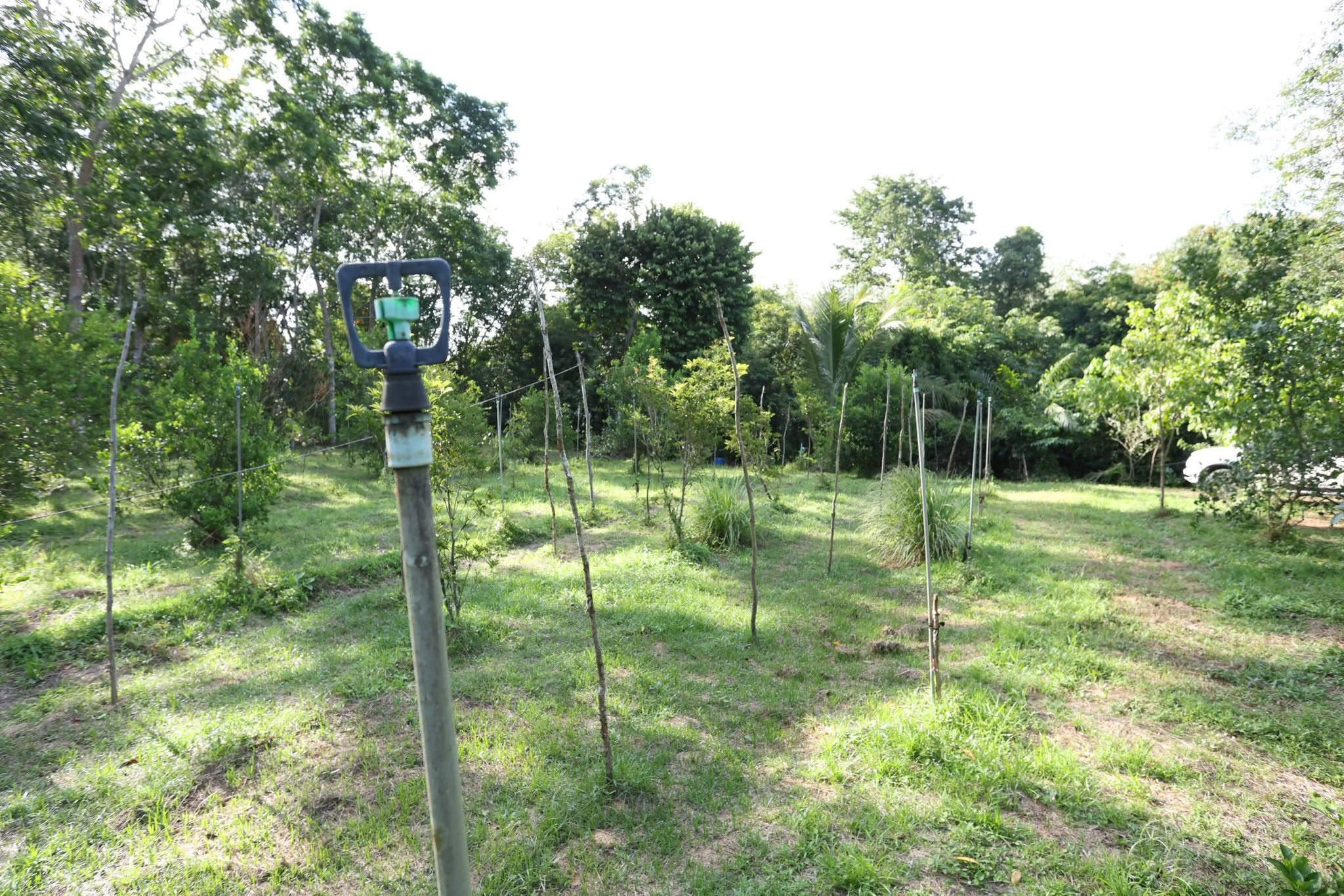 title - กพม. ลุยพัทลุง ถอดบทเรียน Smart Farmer ต้นแบบ อ.ควนขนุน มุ่งลดต้นทุน เพิ่มรายได้หมุนเวียนอย่างยั่งยืน