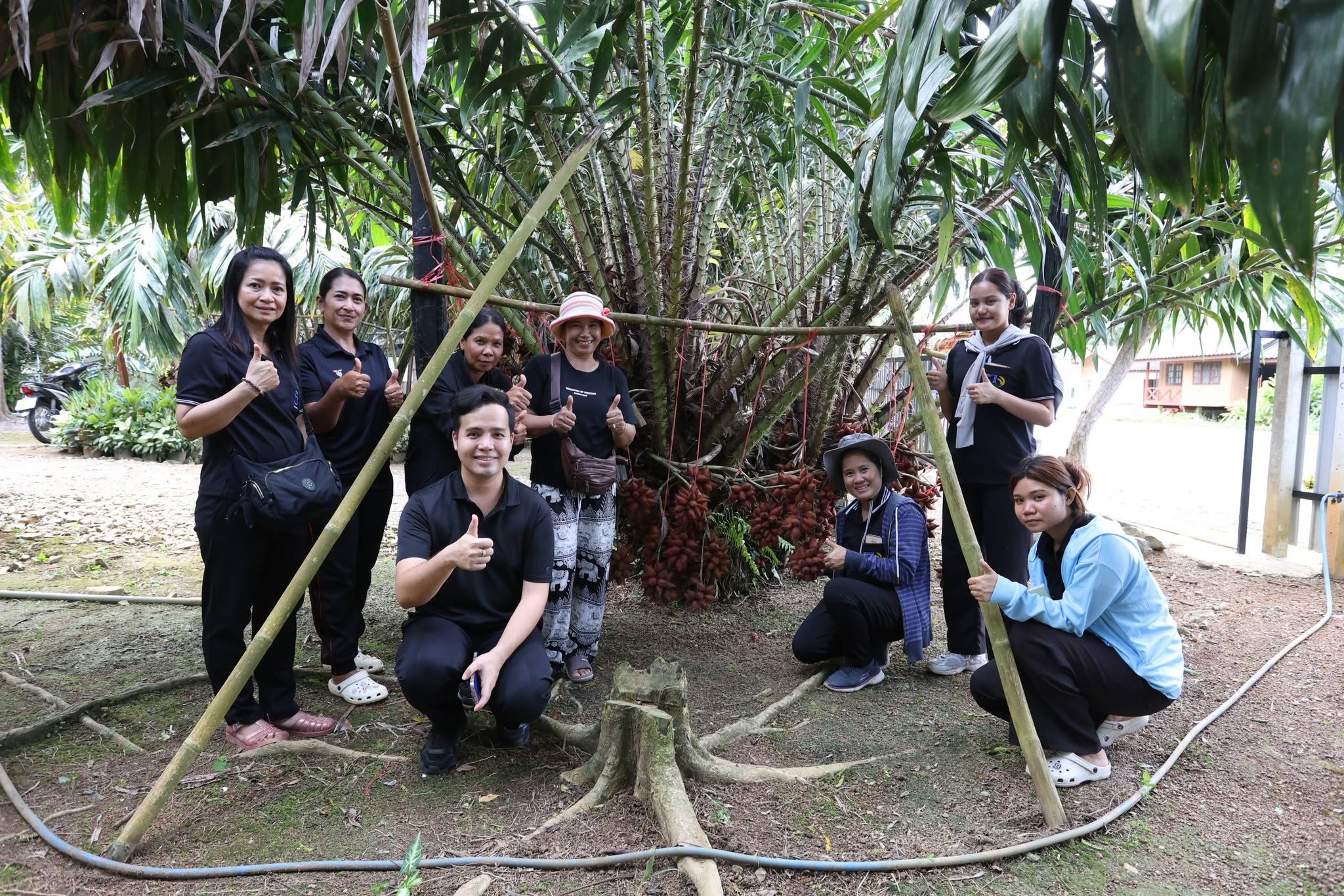 title - กพม. ติดตาม Smart Farmer สตูล หนุนปรับพื้นที่ยาง ทำเกษตรผสมผสานสร้างรายได้