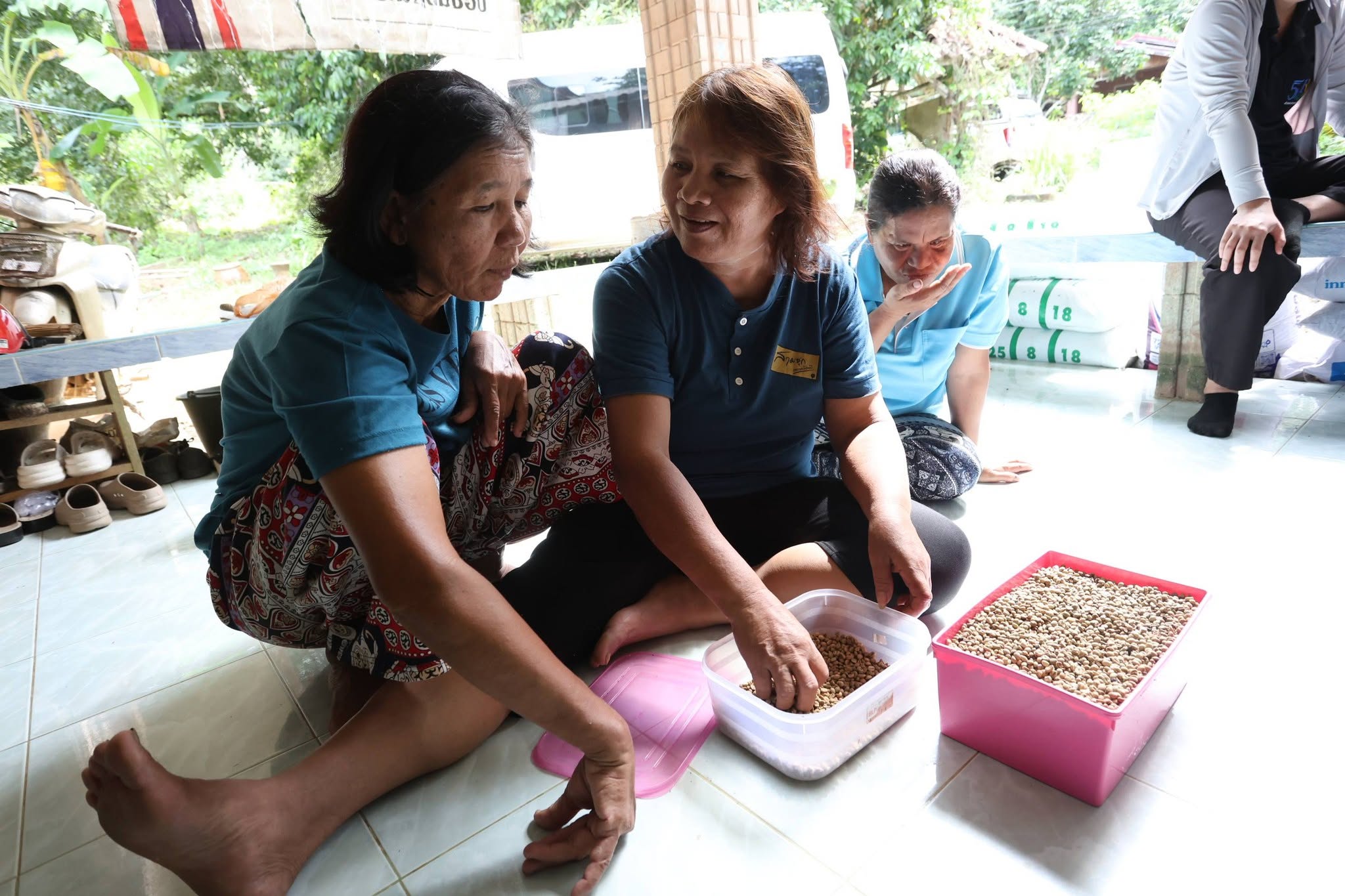 title - กพม. ติดตาม Smart Farmer สตูล หนุนปรับพื้นที่ยาง ทำเกษตรผสมผสานสร้างรายได้