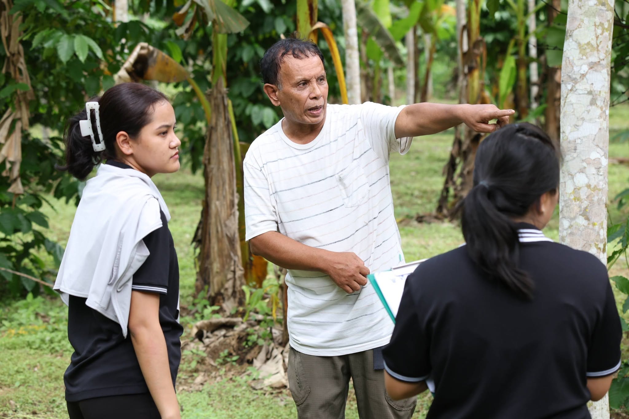 title - กพม. ติดตาม Smart Farmer สตูล หนุนปรับพื้นที่ยาง ทำเกษตรผสมผสานสร้างรายได้