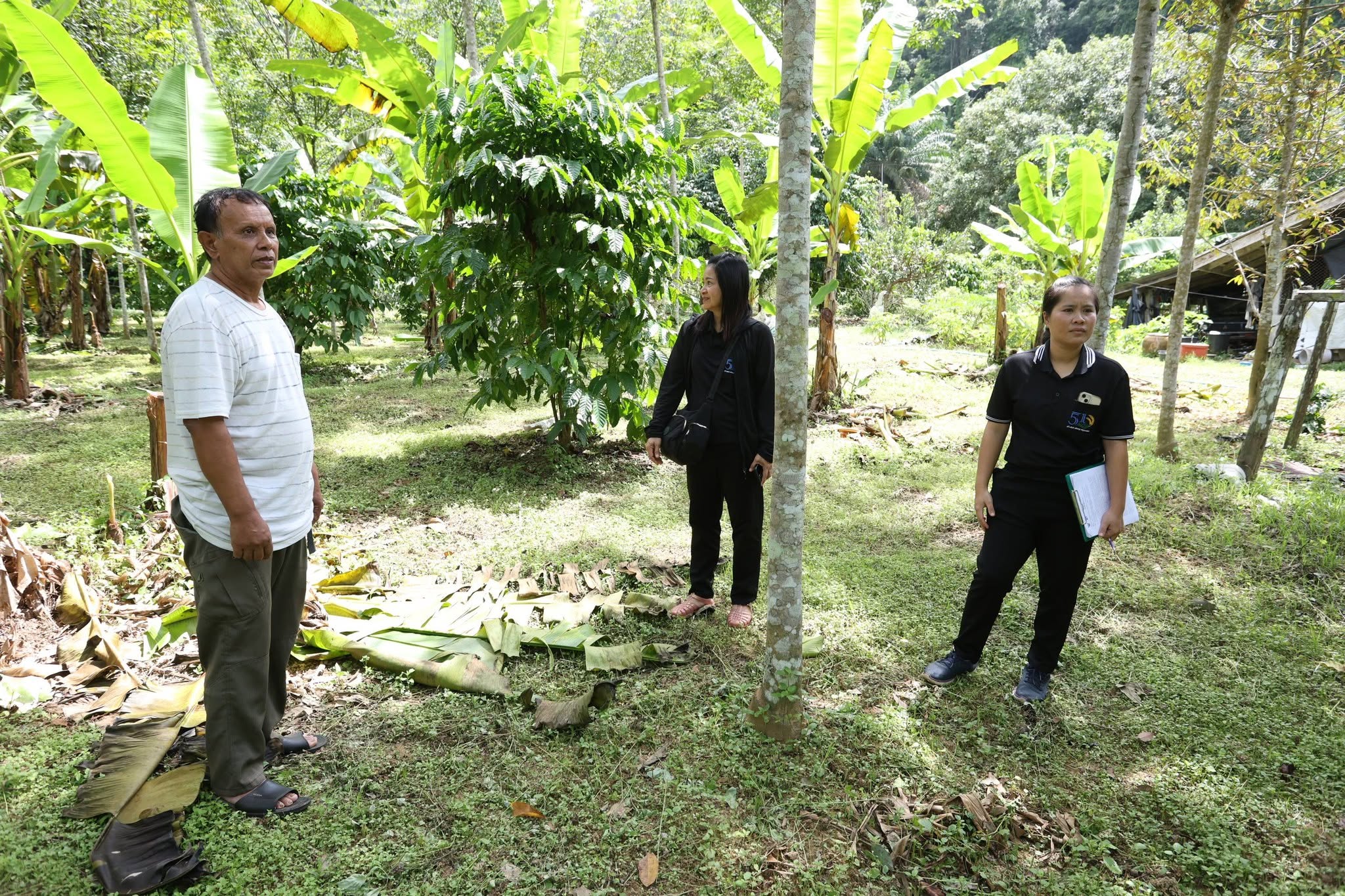 title - กพม. ติดตาม Smart Farmer สตูล หนุนปรับพื้นที่ยาง ทำเกษตรผสมผสานสร้างรายได้