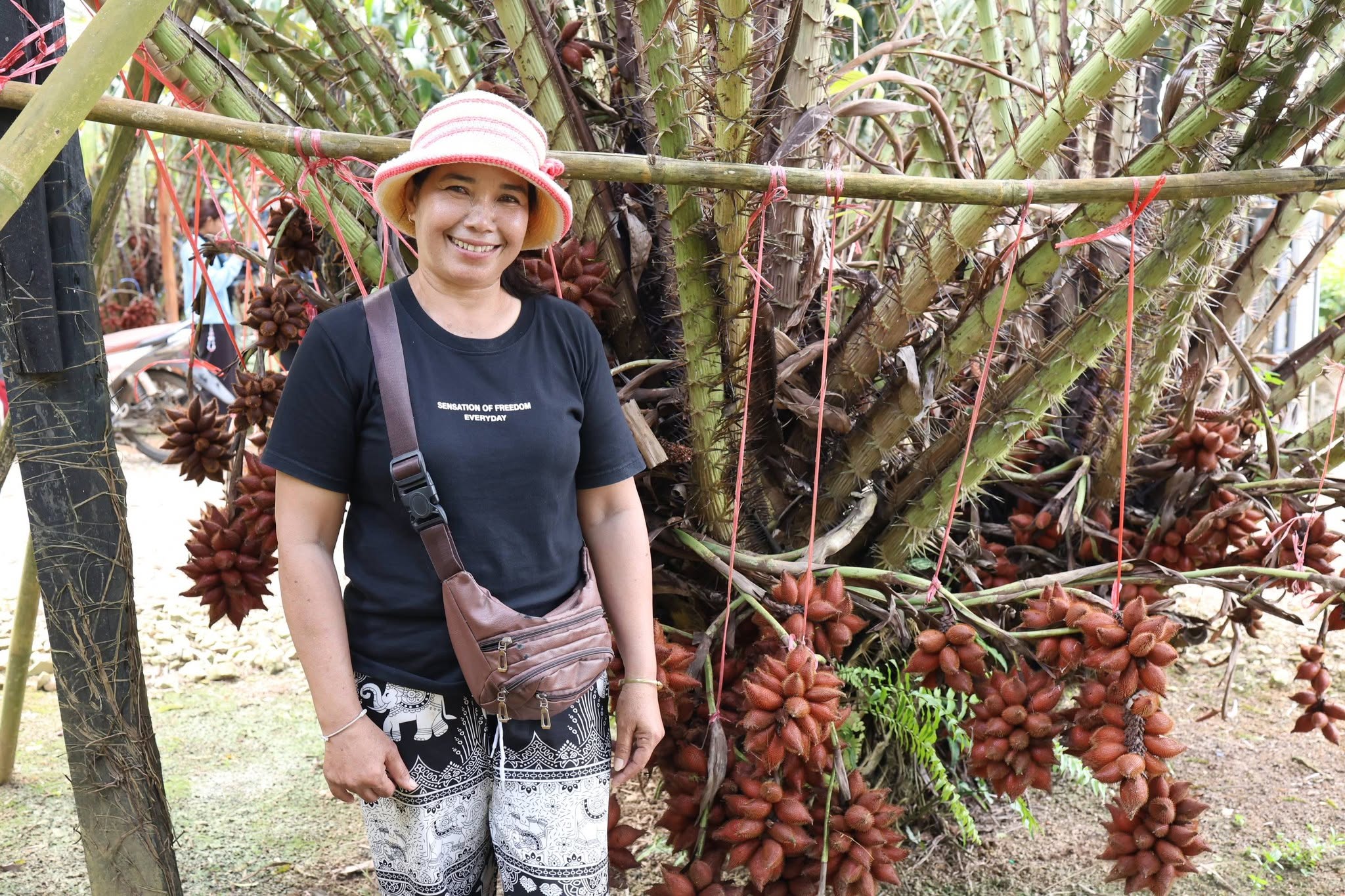 title - กพม. ติดตาม Smart Farmer สตูล หนุนปรับพื้นที่ยาง ทำเกษตรผสมผสานสร้างรายได้