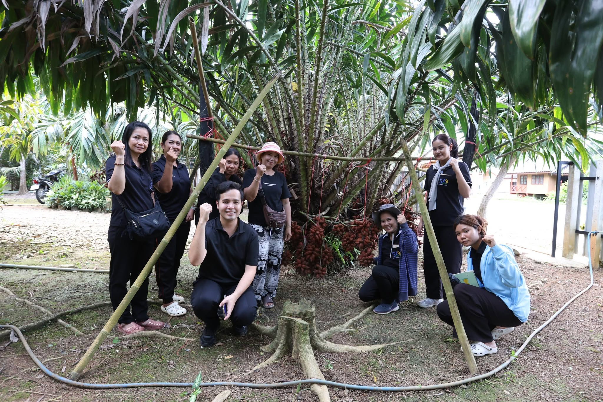 title - กพม. ติดตาม Smart Farmer สตูล หนุนปรับพื้นที่ยาง ทำเกษตรผสมผสานสร้างรายได้