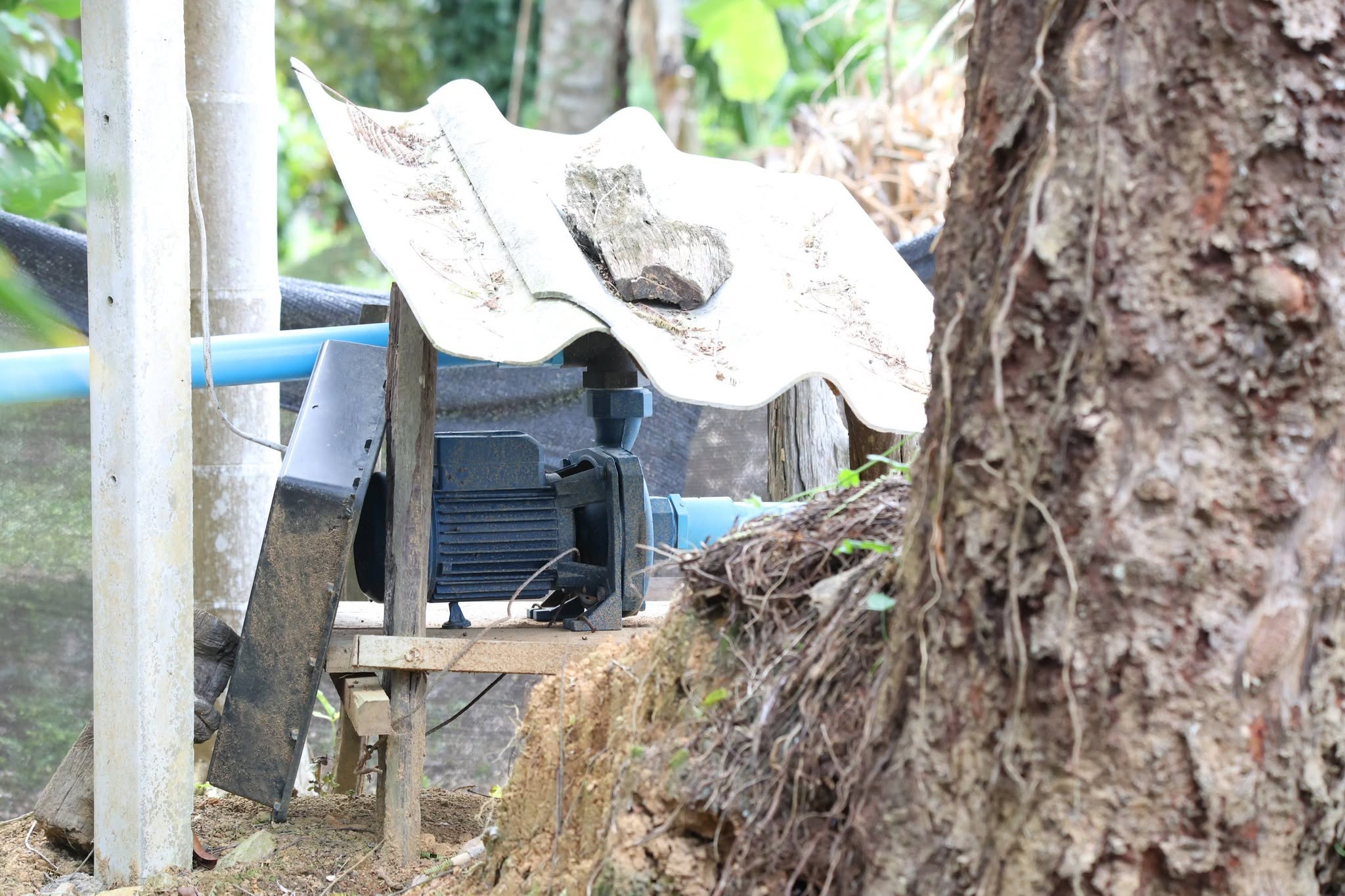 title - กพม. ติดตาม Smart Farmer สตูล หนุนปรับพื้นที่ยาง ทำเกษตรผสมผสานสร้างรายได้