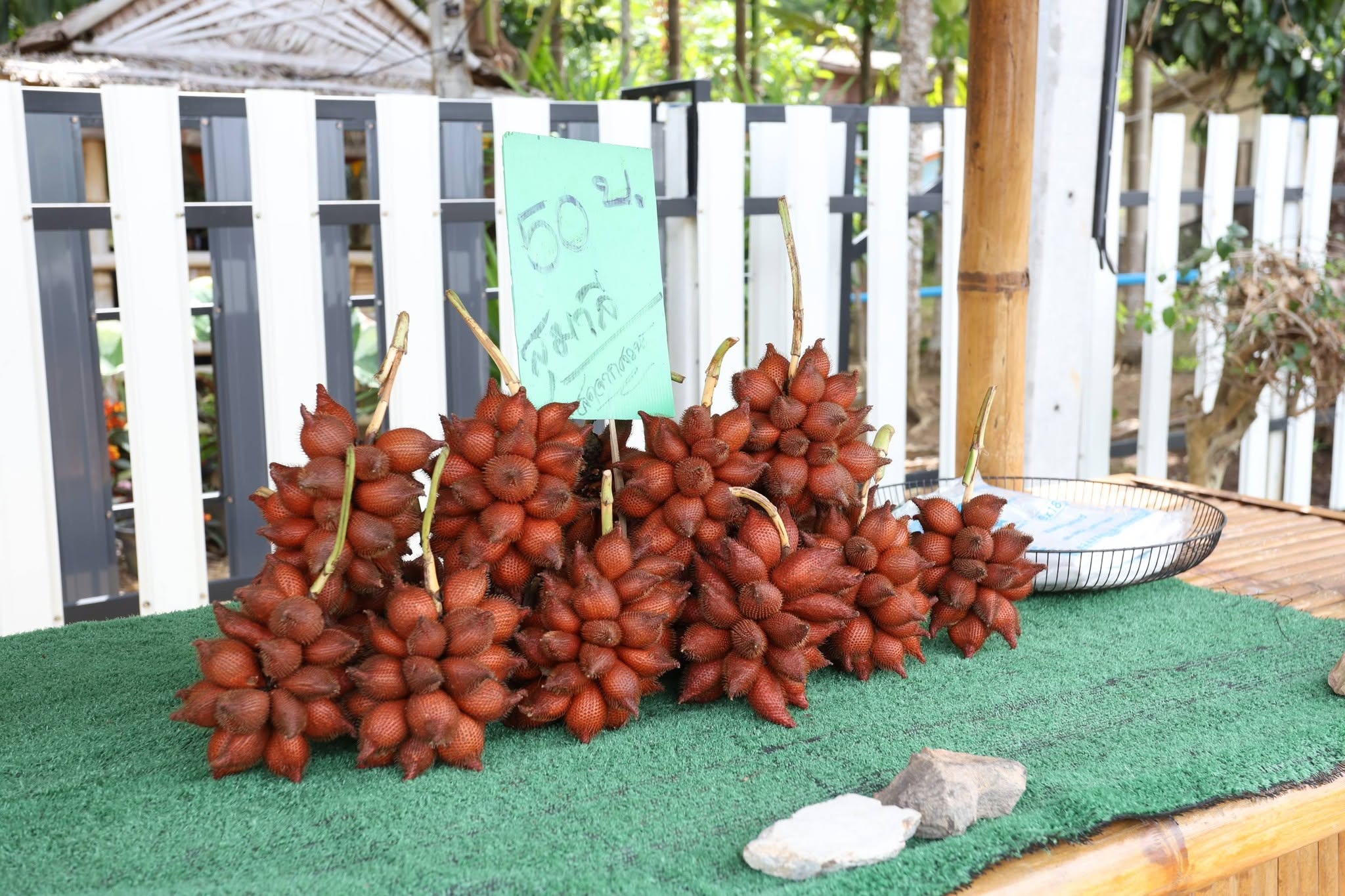 title - กพม. ติดตาม Smart Farmer สตูล หนุนปรับพื้นที่ยาง ทำเกษตรผสมผสานสร้างรายได้