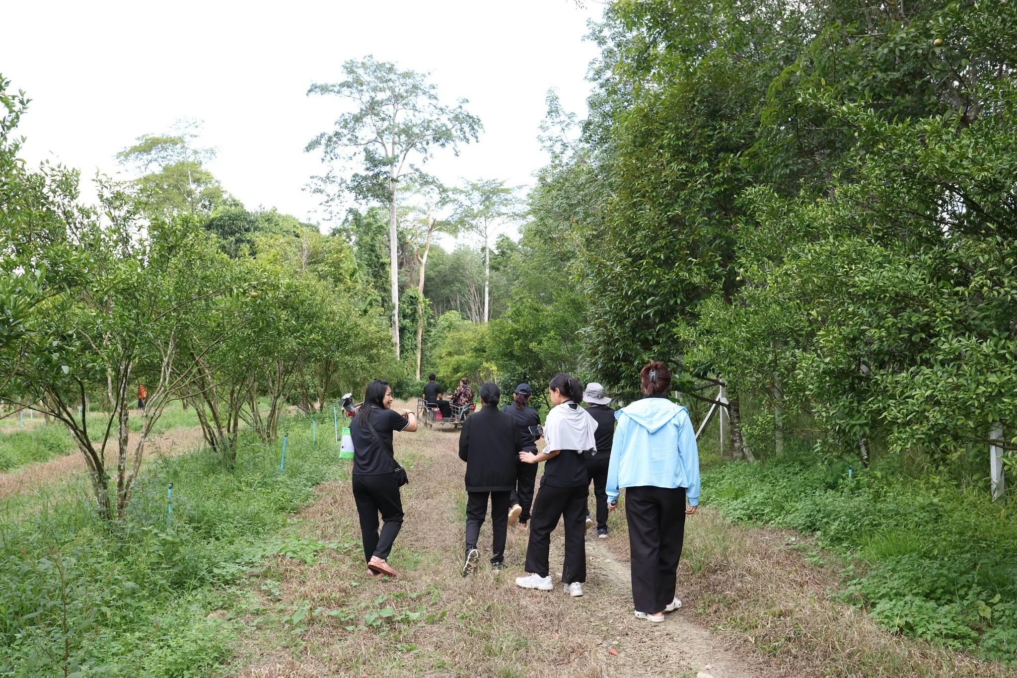 title - กพม. ติดตาม Smart Farmer สตูล หนุนปรับพื้นที่ยาง ทำเกษตรผสมผสานสร้างรายได้