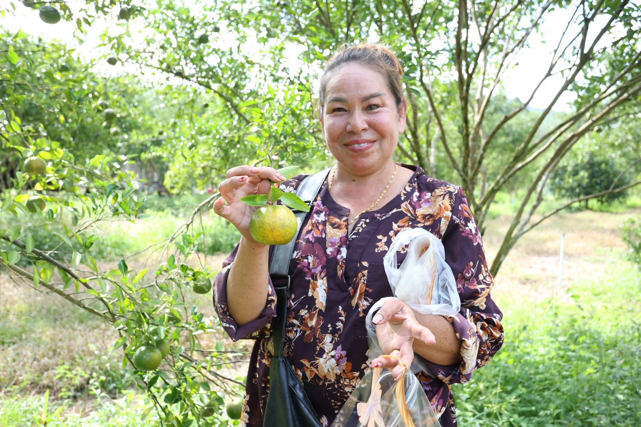 title - กพม. ติดตาม Smart Farmer สตูล หนุนปรับพื้นที่ยาง ทำเกษตรผสมผสานสร้างรายได้