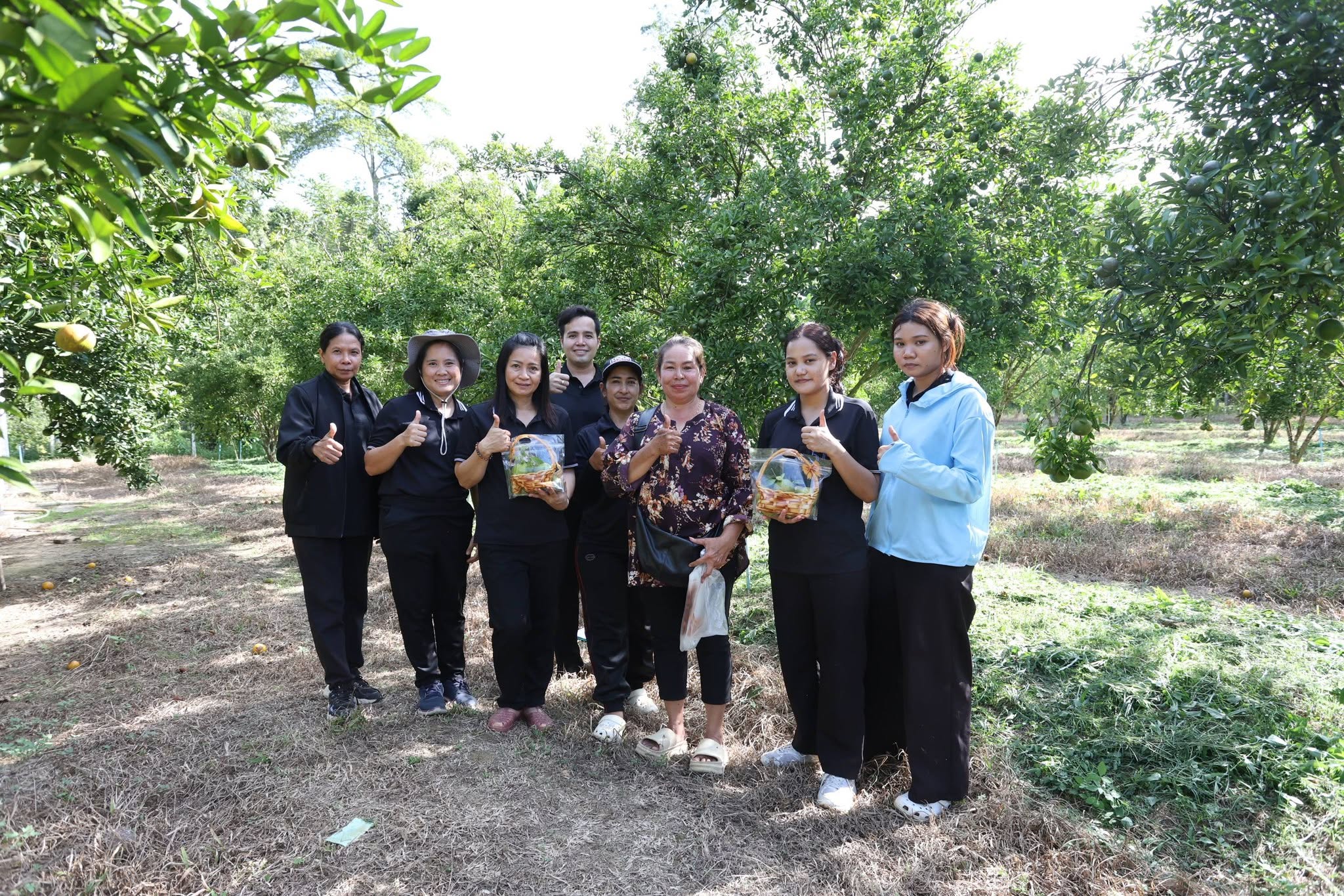 title - กพม. ติดตาม Smart Farmer สตูล หนุนปรับพื้นที่ยาง ทำเกษตรผสมผสานสร้างรายได้