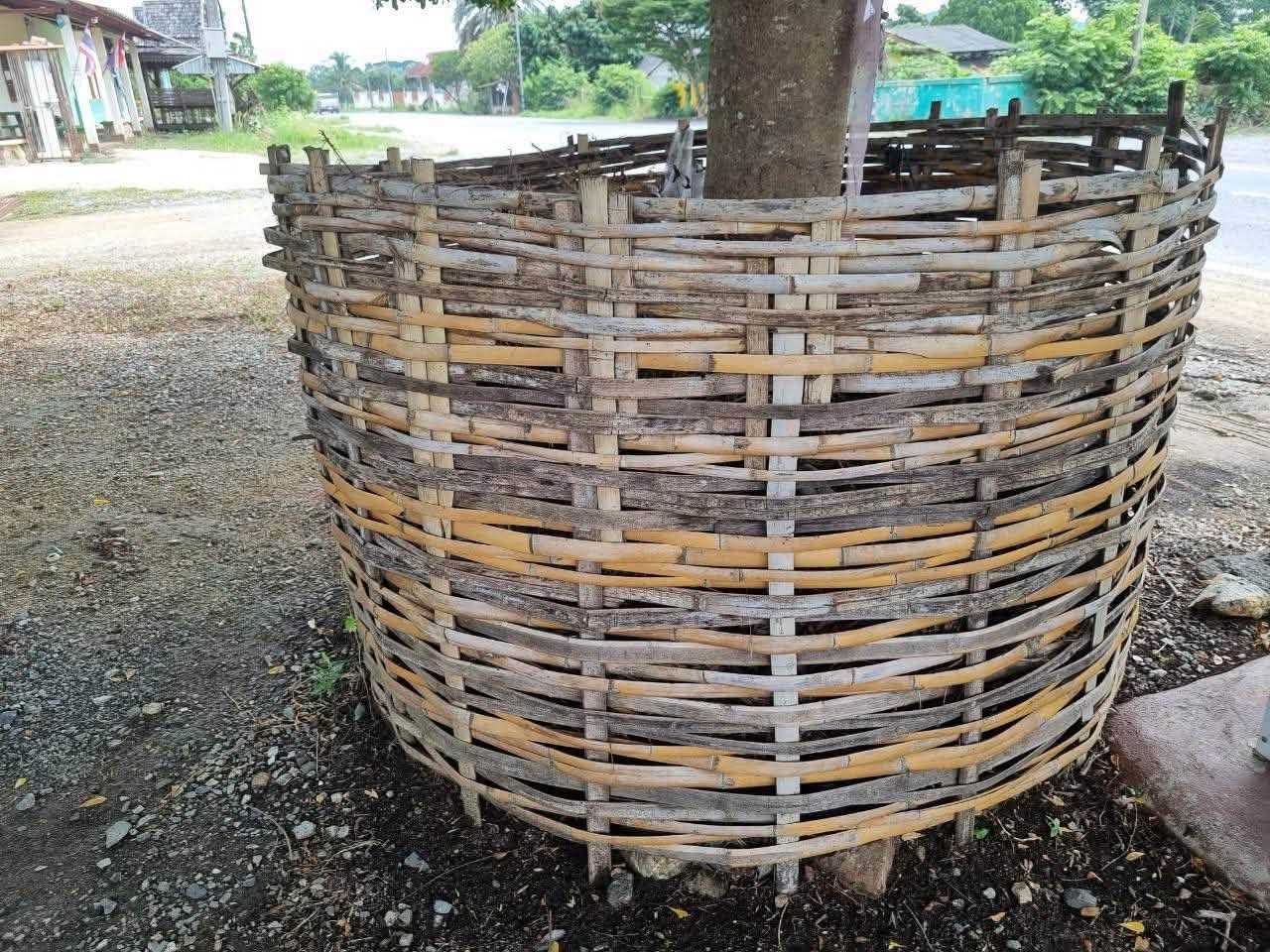 title - กอฟ. ลงพื้นที่ติดตามศูนย์รณรงค์ลดการเผาในเขตปฏิรูปที่ดิน ต.ทาขุมเงิน อ.แม่ทา จ.ลำพูน