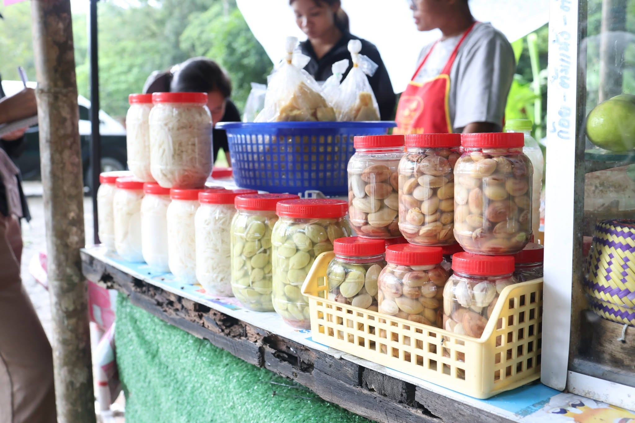 title - กพม. เยือนพังงา ติดตาม Smart Farmer ชูเกษตรผสมผสาน วนเกษตร หนุนแปรรูปสร้างมูลค่า