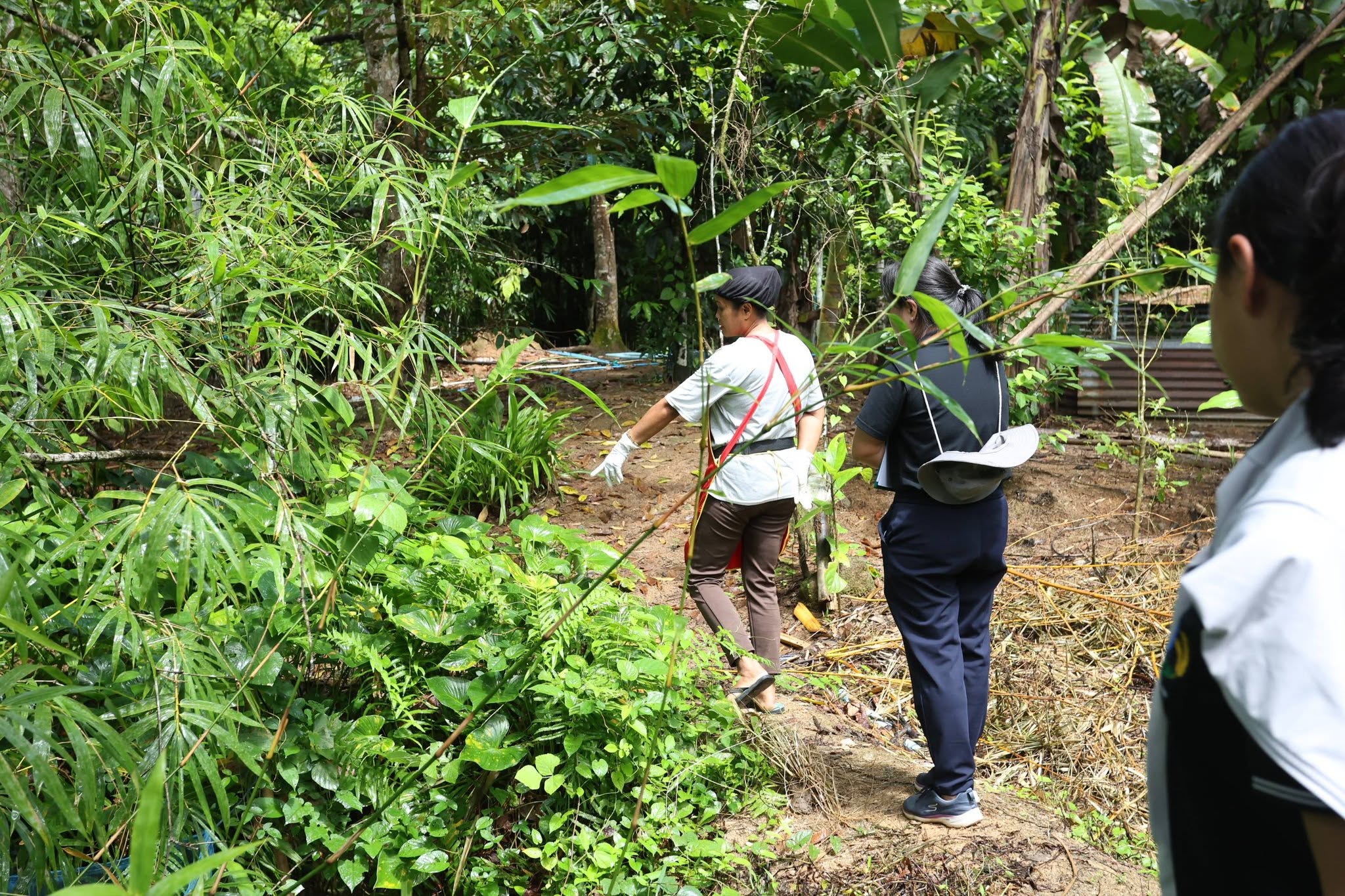 title - กพม. เยือนพังงา ติดตาม Smart Farmer ชูเกษตรผสมผสาน วนเกษตร หนุนแปรรูปสร้างมูลค่า