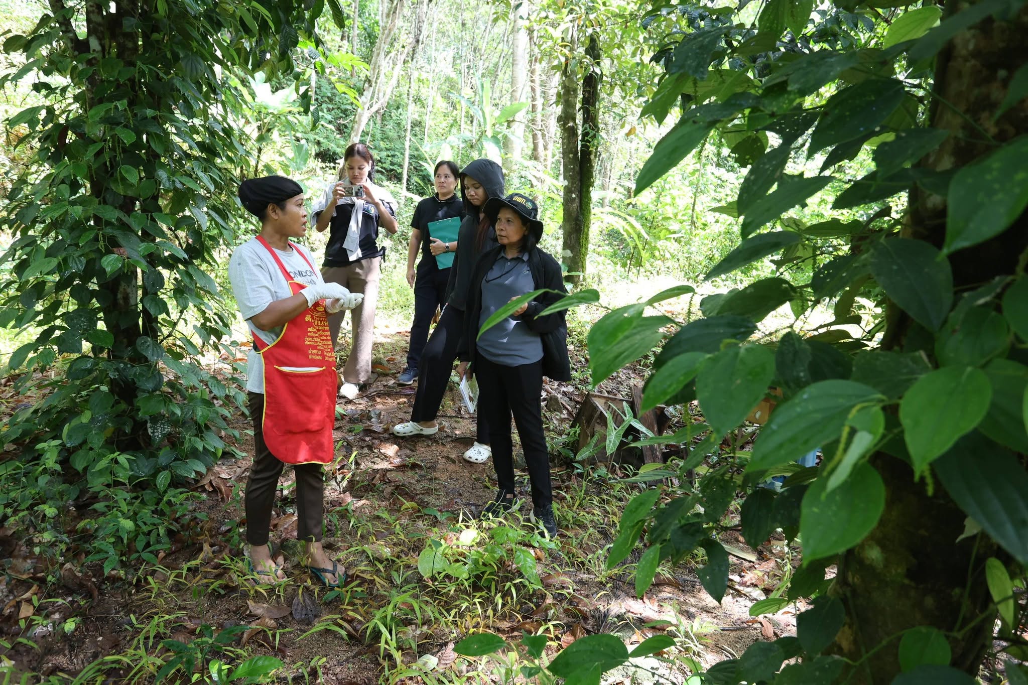 title - กพม. เยือนพังงา ติดตาม Smart Farmer ชูเกษตรผสมผสาน วนเกษตร หนุนแปรรูปสร้างมูลค่า
