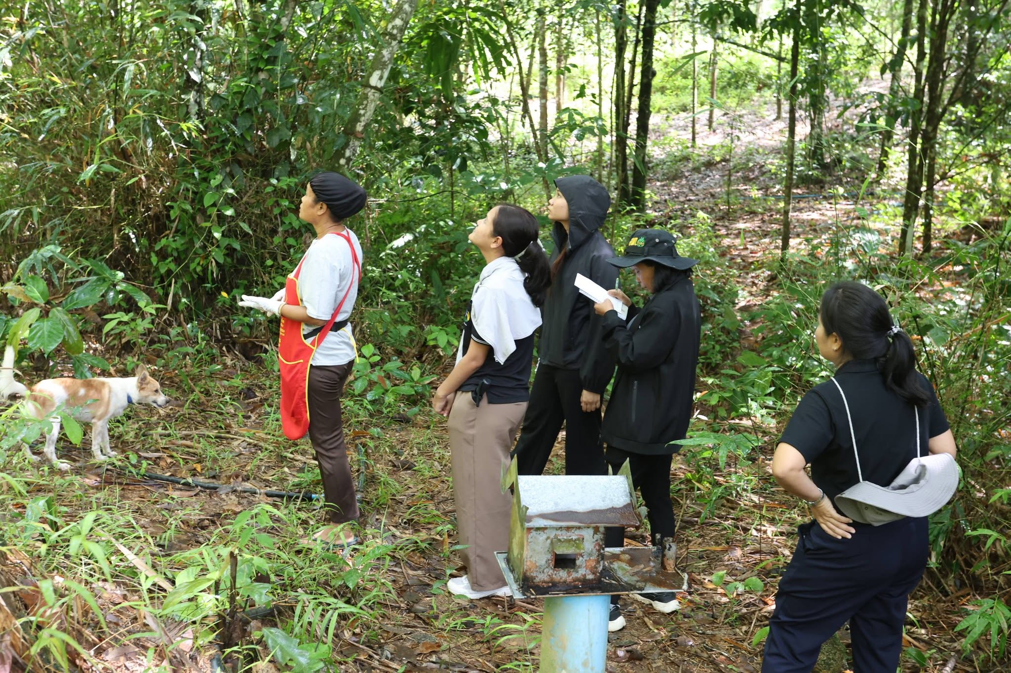 title - กพม. เยือนพังงา ติดตาม Smart Farmer ชูเกษตรผสมผสาน วนเกษตร หนุนแปรรูปสร้างมูลค่า
