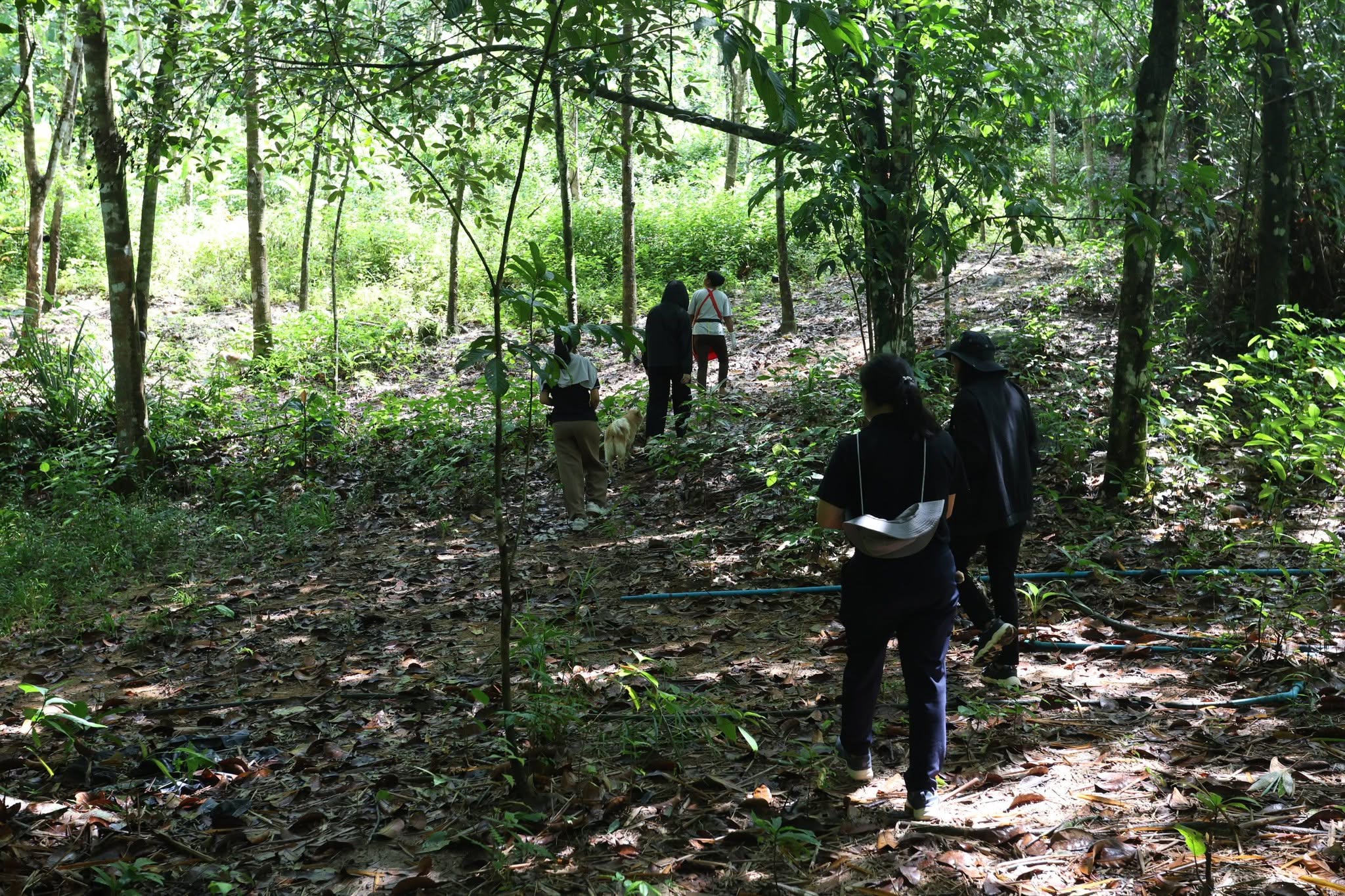 title - กพม. เยือนพังงา ติดตาม Smart Farmer ชูเกษตรผสมผสาน วนเกษตร หนุนแปรรูปสร้างมูลค่า
