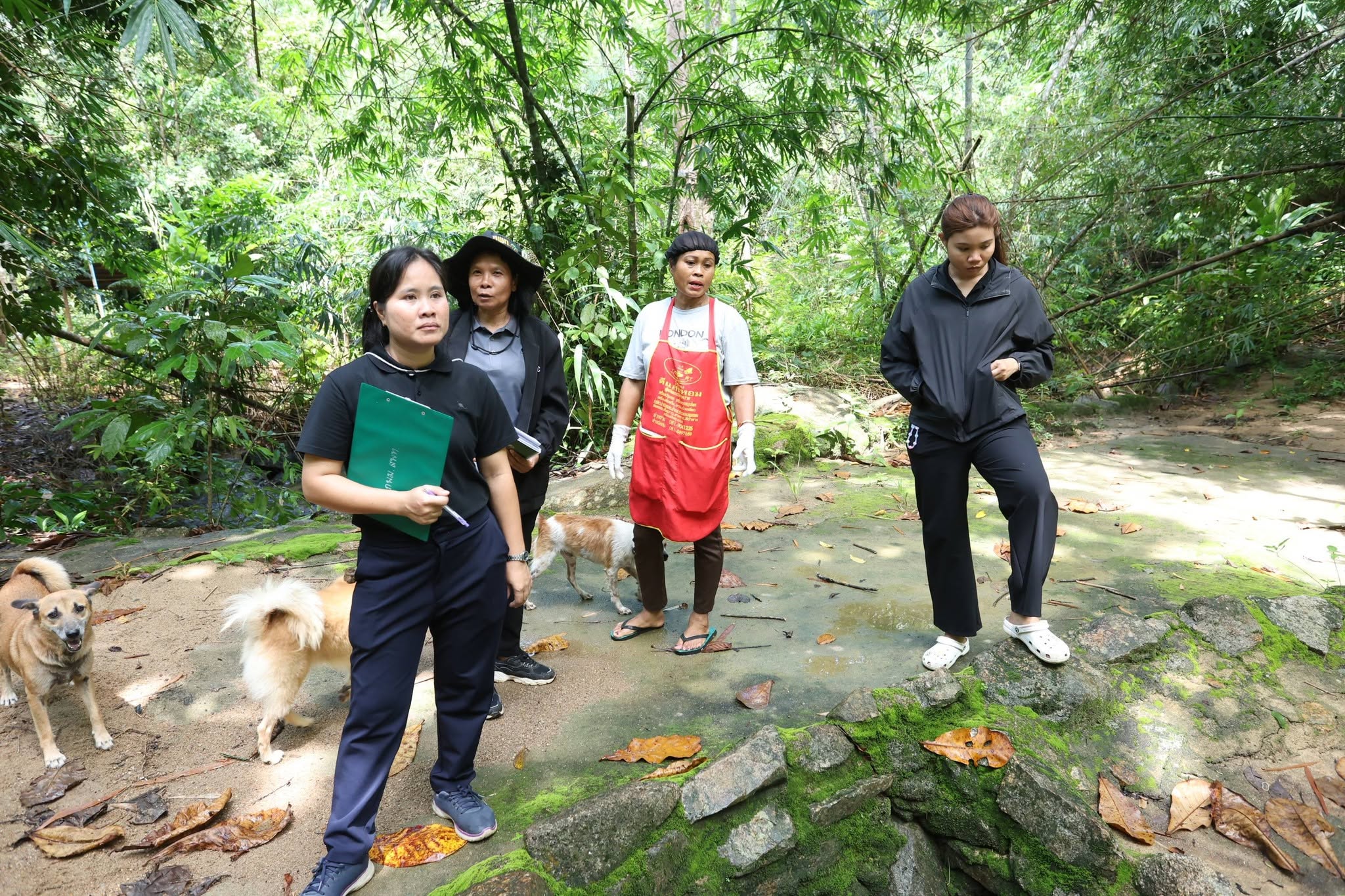 title - กพม. เยือนพังงา ติดตาม Smart Farmer ชูเกษตรผสมผสาน วนเกษตร หนุนแปรรูปสร้างมูลค่า