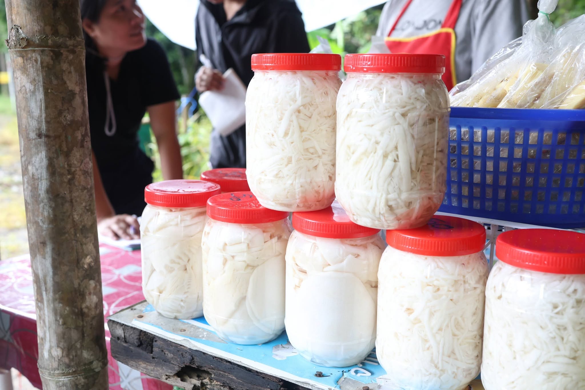title - กพม. เยือนพังงา ติดตาม Smart Farmer ชูเกษตรผสมผสาน วนเกษตร หนุนแปรรูปสร้างมูลค่า