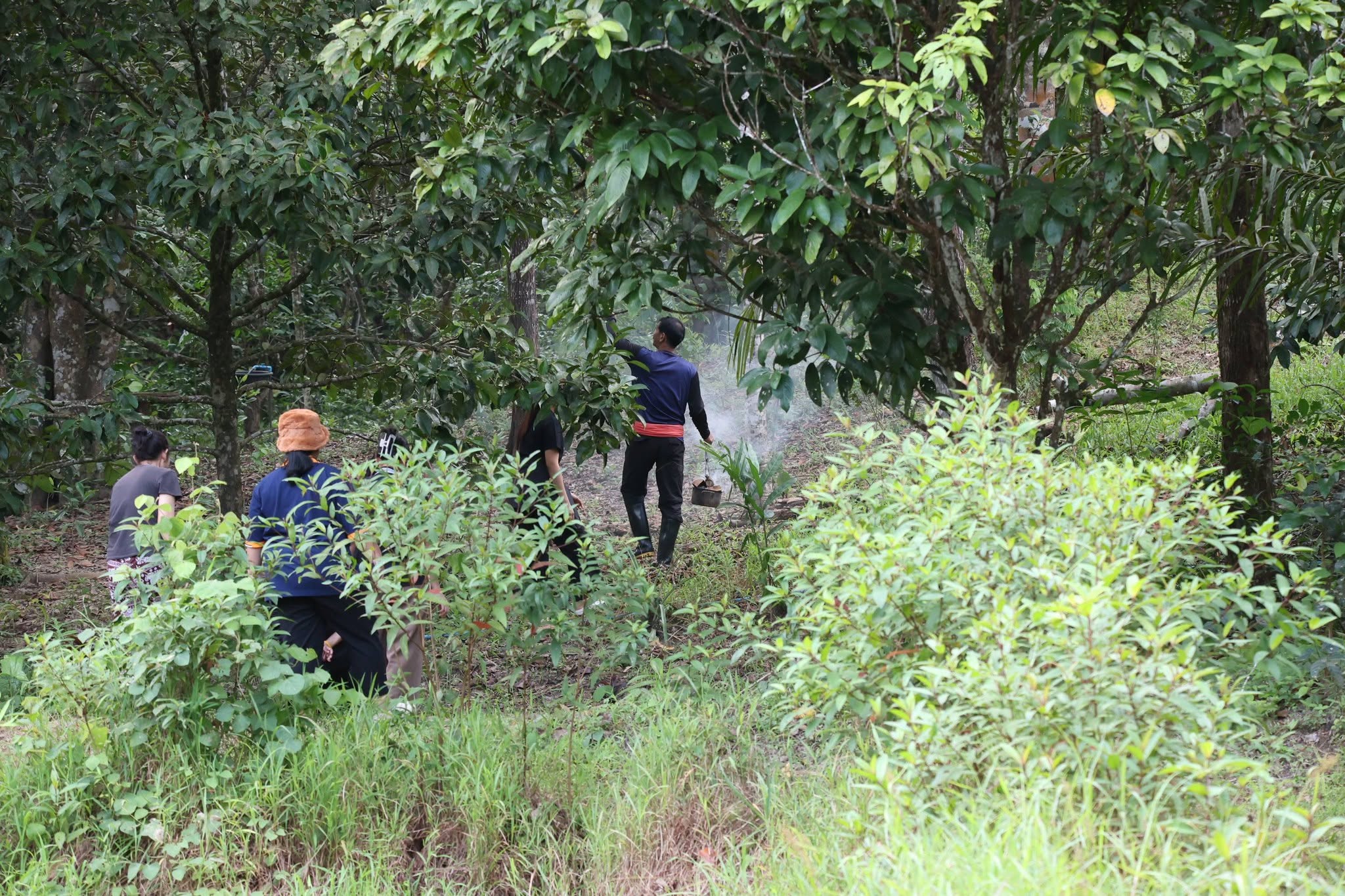 title - กพม. เยือนพังงา ติดตาม Smart Farmer ชูเกษตรผสมผสาน วนเกษตร หนุนแปรรูปสร้างมูลค่า