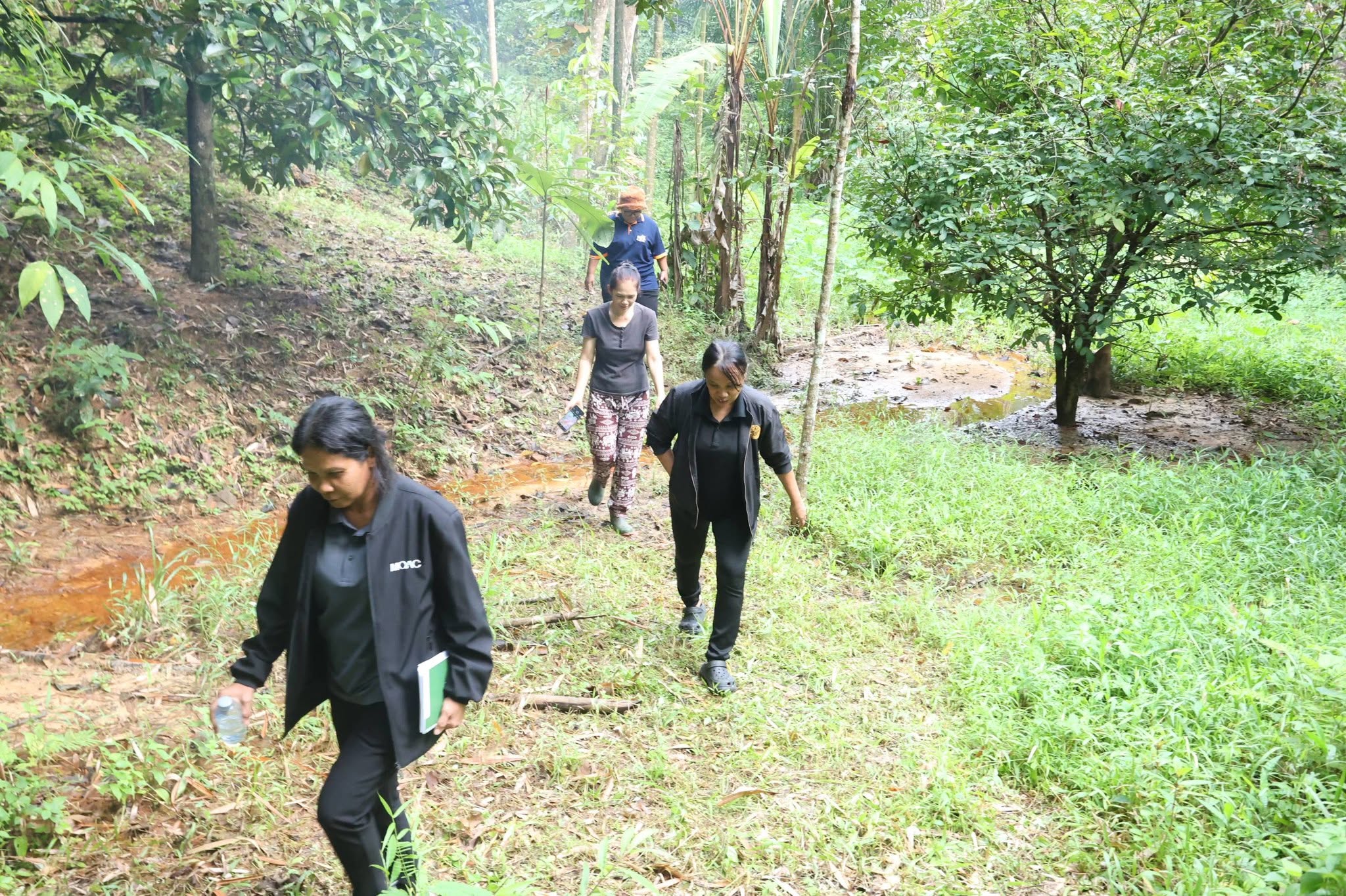 title - กพม. เยือนพังงา ติดตาม Smart Farmer ชูเกษตรผสมผสาน วนเกษตร หนุนแปรรูปสร้างมูลค่า