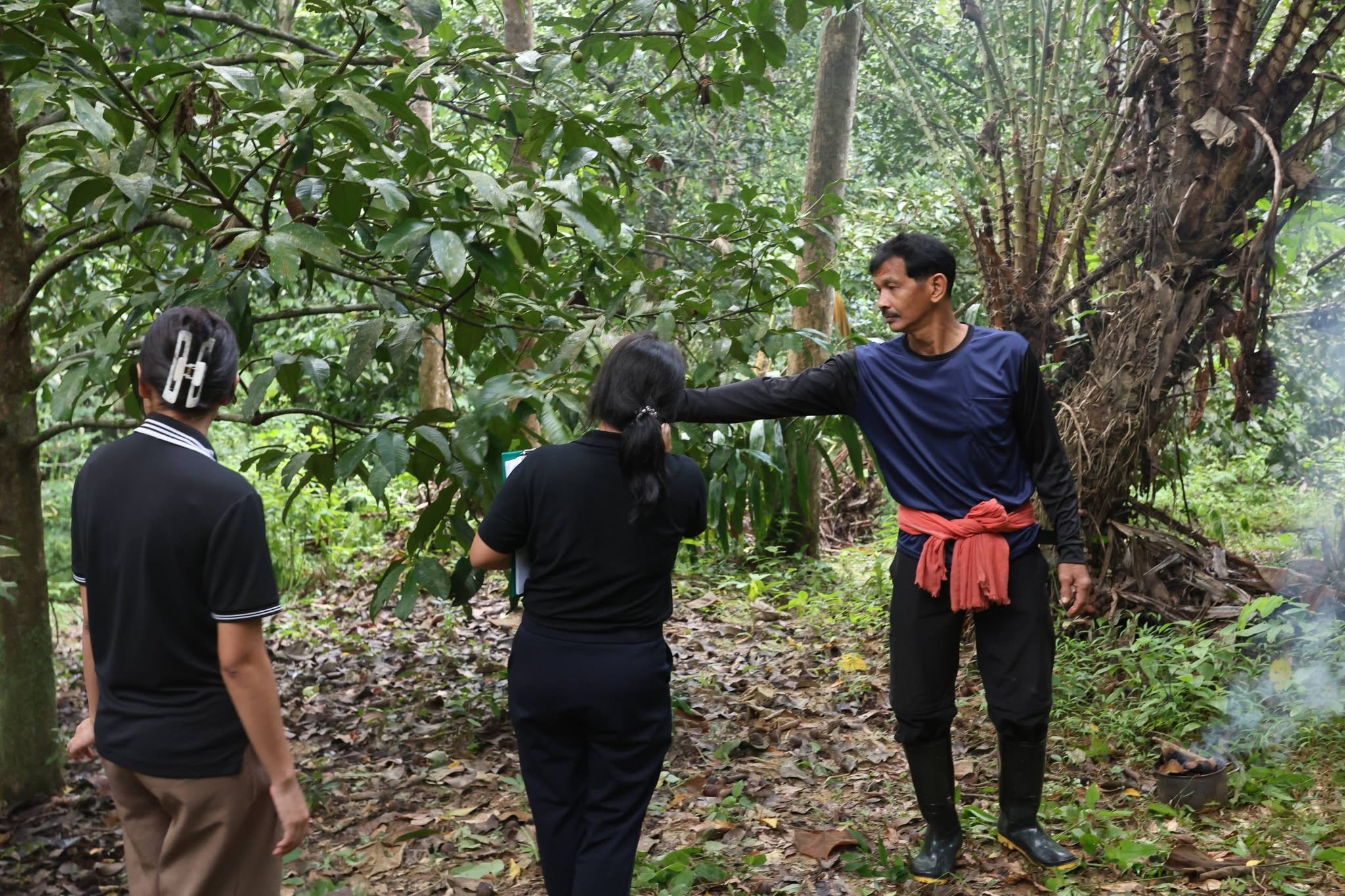 title - กพม. เยือนพังงา ติดตาม Smart Farmer ชูเกษตรผสมผสาน วนเกษตร หนุนแปรรูปสร้างมูลค่า