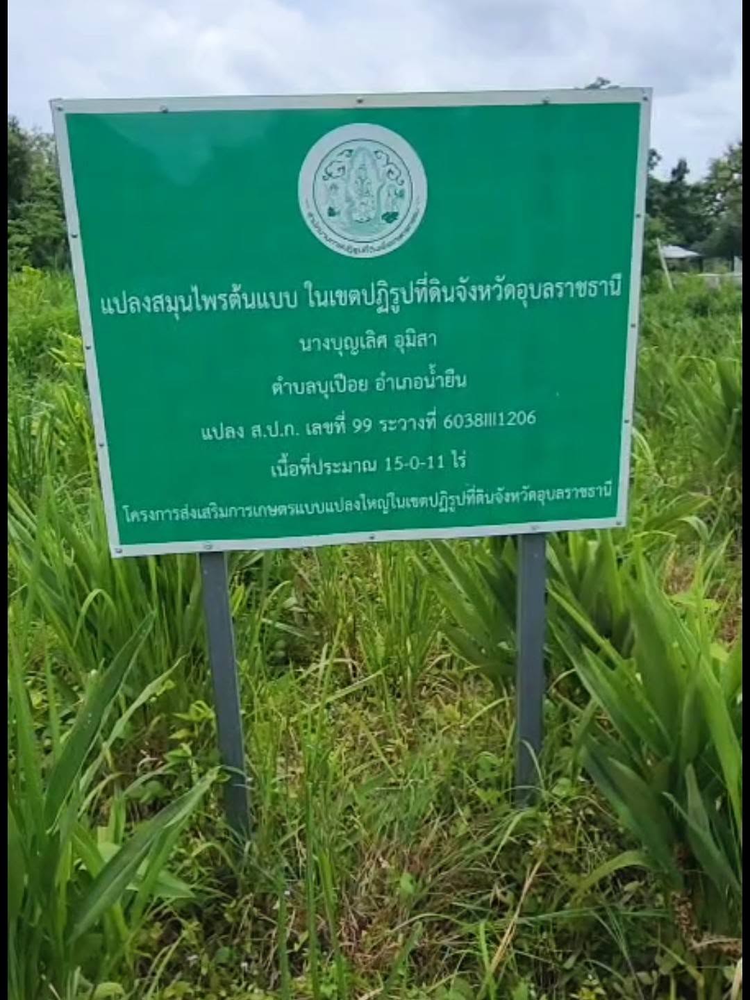 title - กพก. ลงพื้นที่กลุ่มแปลงใหญ่สมุนไพรบ้านเปือย ต.บุเปือย อ.น้ำยืน จ.อุบลราชธานี