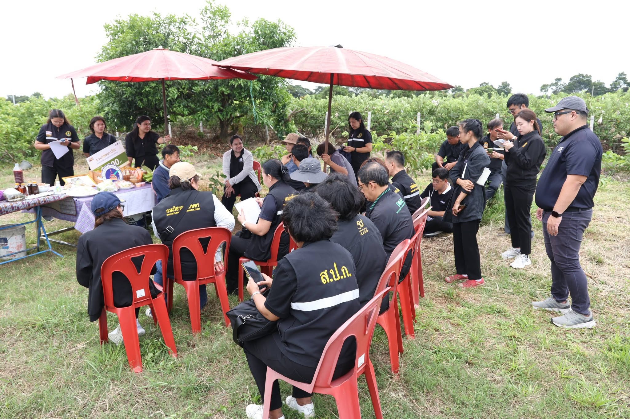 title - ส.ป.ก. ร่วมคณะทำงานรองปลัด กษ. ตรวจปิดท้ายแปลงทดสอบโครงการที่ว่างสร้างค่า จ.นครปฐม