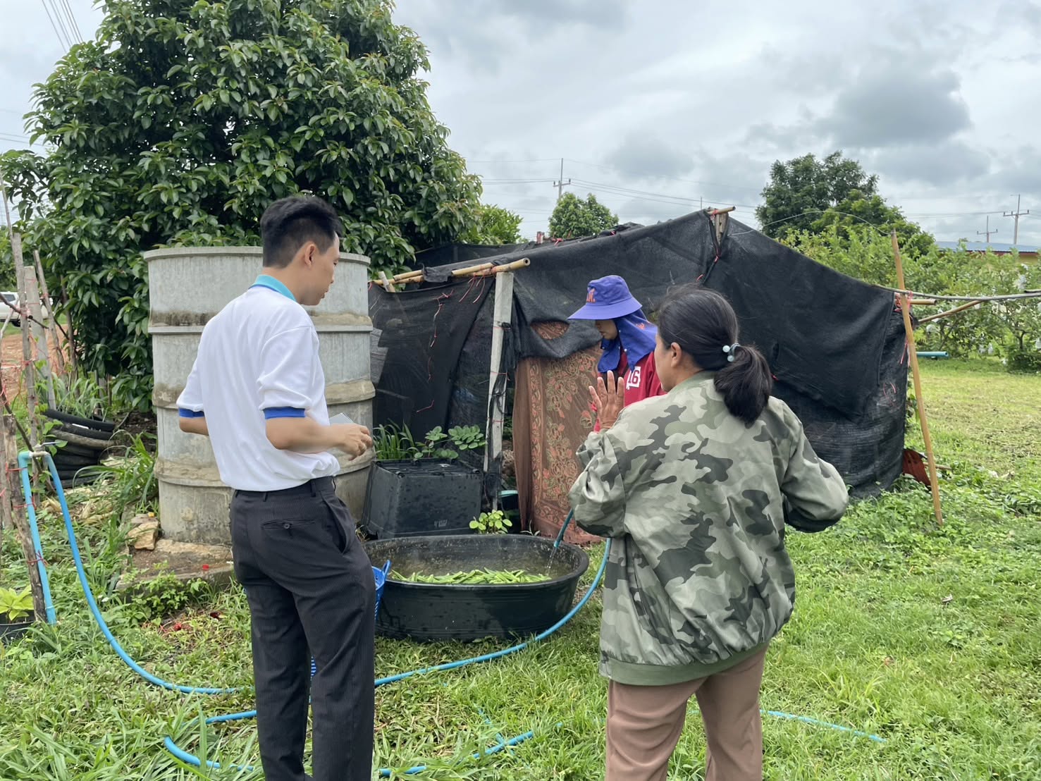 title - กพก. ลงพื้นที่ติดตามการดำเนินงานโครงการระบบส่งเสริมเกษตรแบบแปลงใหญ่ กลุ่มแปลงใหญ่พืชผัก ต.ปากช่อง อ.ปากช่อง จ.นครราชสีมา