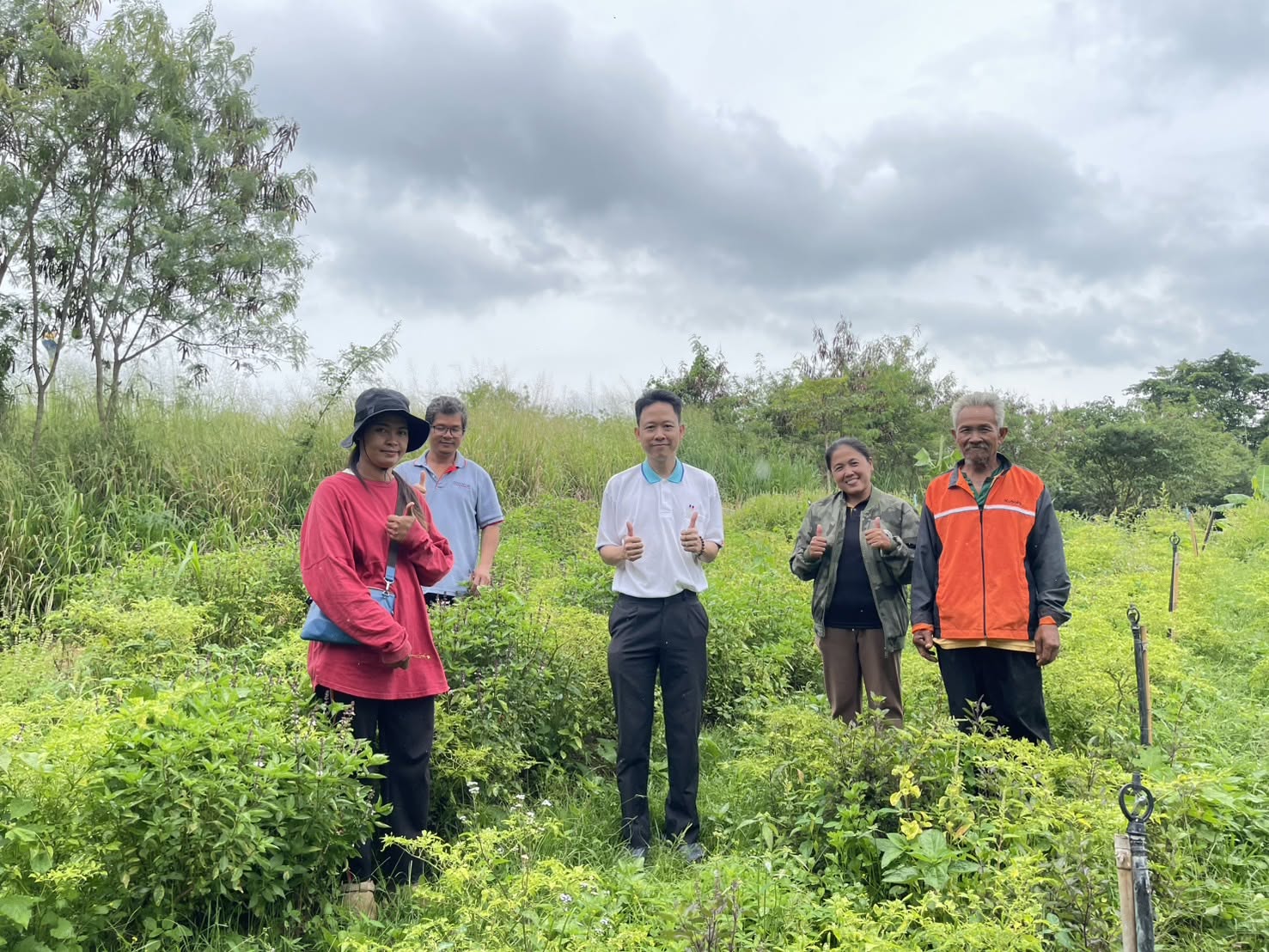 title - กพก. ลงพื้นที่ติดตามการดำเนินงานโครงการระบบส่งเสริมเกษตรแบบแปลงใหญ่ กลุ่มแปลงใหญ่พืชผัก ต.ปากช่อง อ.ปากช่อง จ.นครราชสีมา