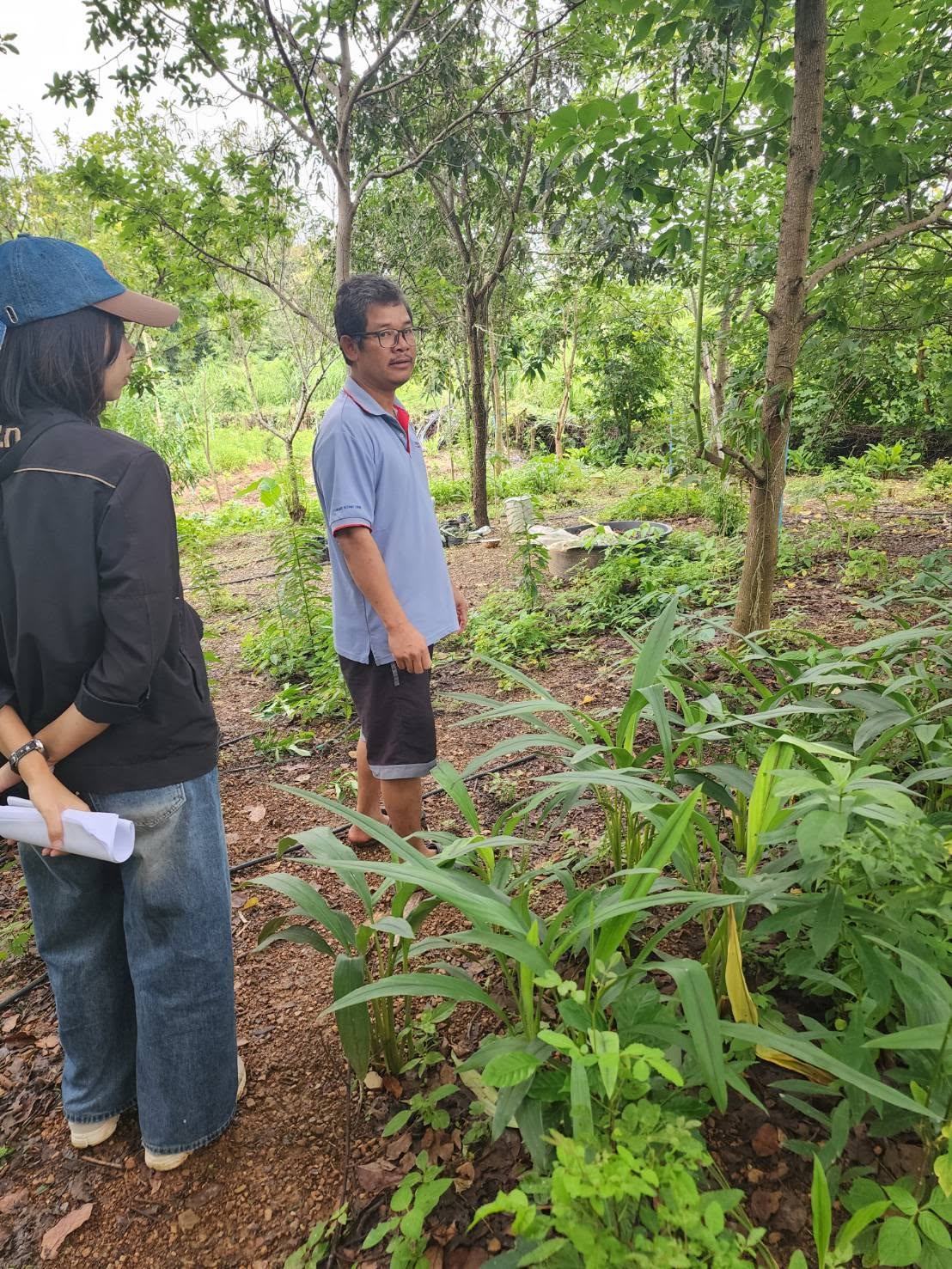 title - กพก. ลงพื้นที่ติดตามการดำเนินงานโครงการระบบส่งเสริมเกษตรแบบแปลงใหญ่ กลุ่มแปลงใหญ่พืชผัก ต.ปากช่อง อ.ปากช่อง จ.นครราชสีมา