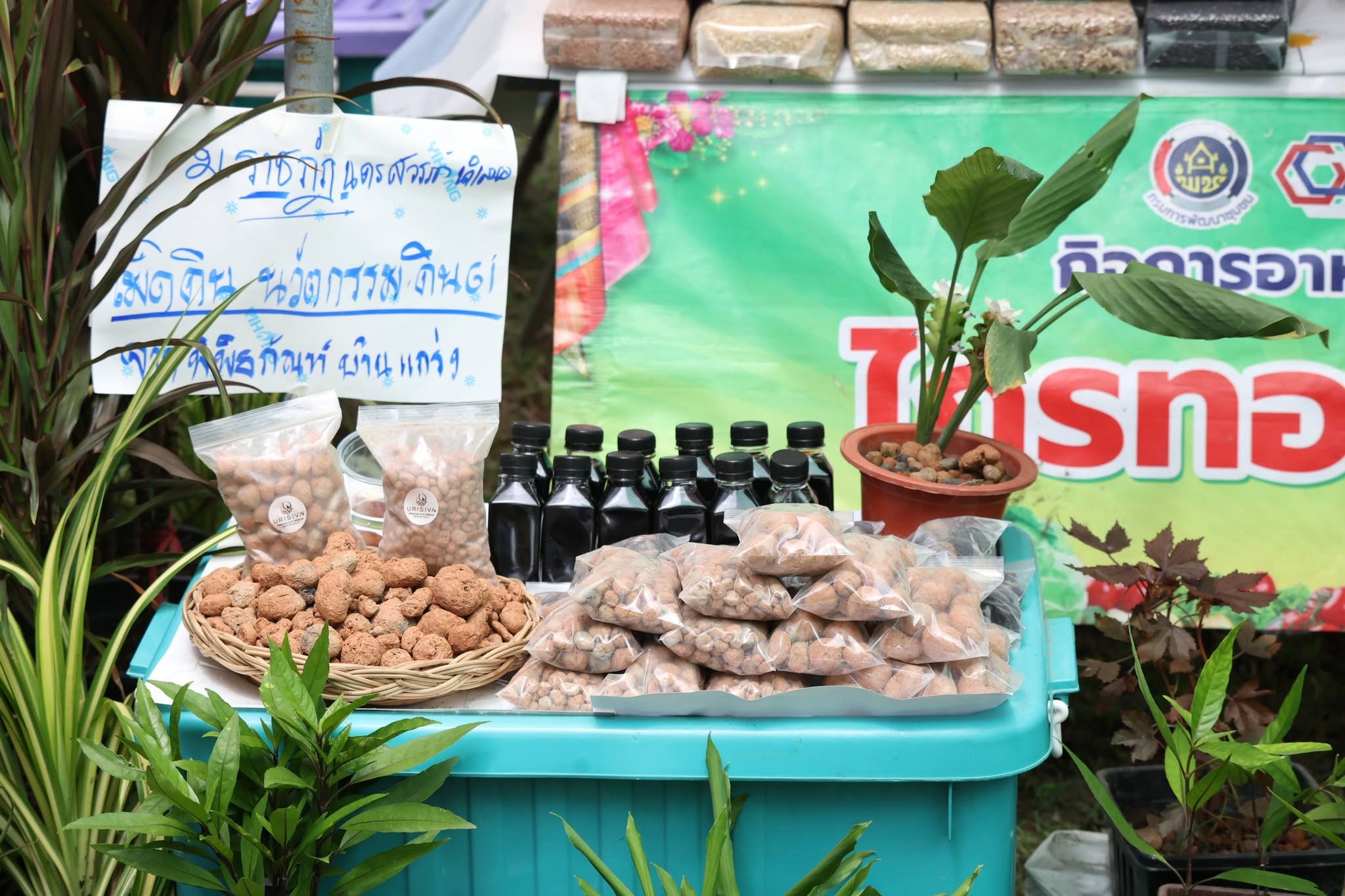 title - เปิดแล้ว! งานใหญ่บางไทร “ตลาดเกษตรศิลป์ แผ่นดินทอง” ชวนชมนิทรรศการ-ช้อปของดี 22–24 ส.ค. นี้