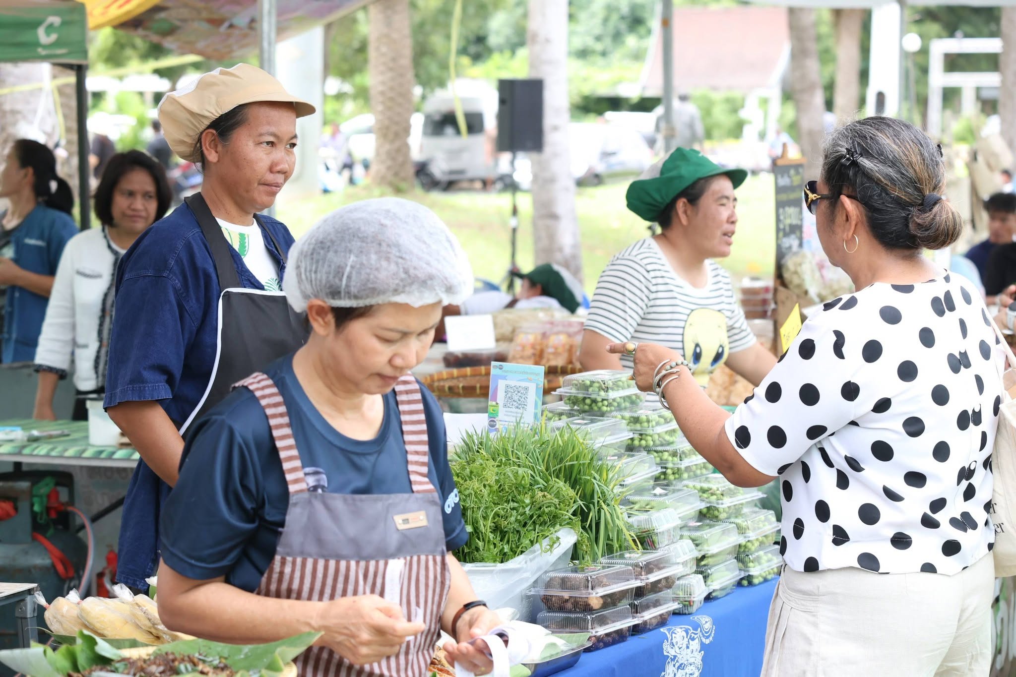 title - เปิดแล้ว! งานใหญ่บางไทร “ตลาดเกษตรศิลป์ แผ่นดินทอง” ชวนชมนิทรรศการ-ช้อปของดี 22–24 ส.ค. นี้